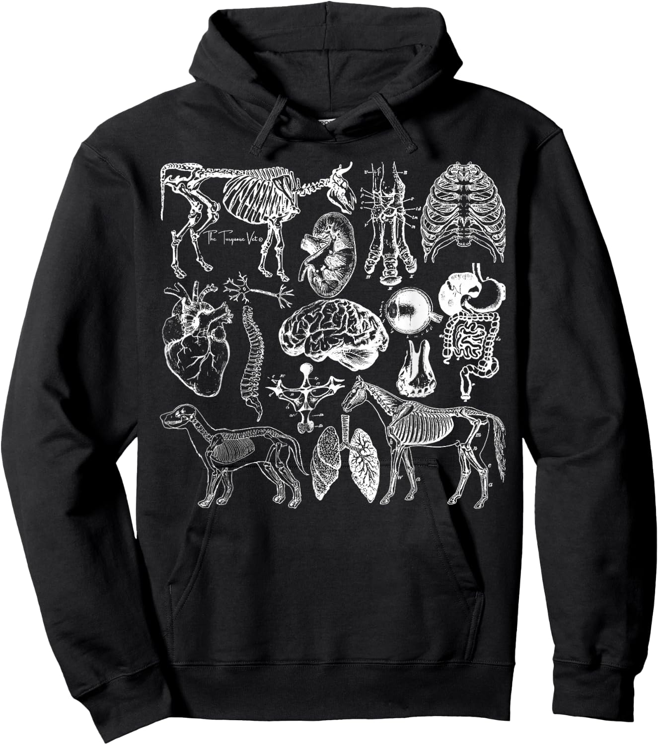 Veterinary Anatomy Animal Design Hoodie - Hoodie | Black