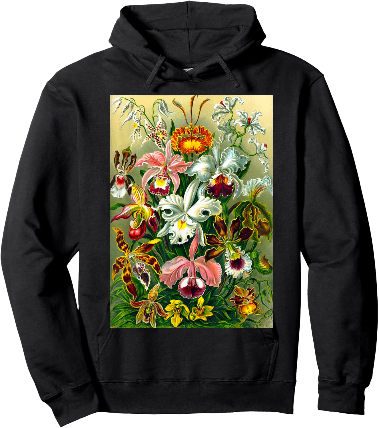 Ernst Haeckel Vintage Biological Botanical Orchid Art Hoodie - Hoodie | Black