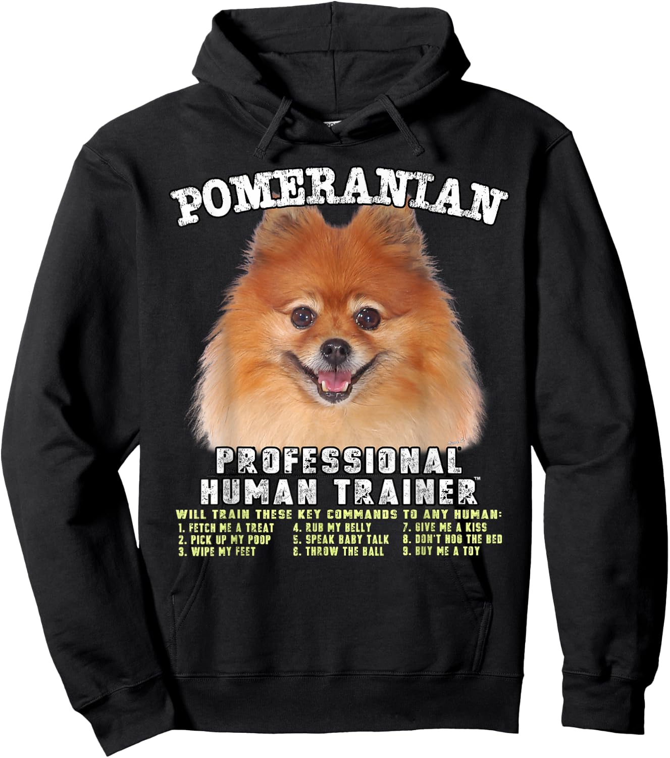 Kitana Pomeranian Dog Themed , -Adults, Kids, Black, Small, Short Sleeve Hoodie - Hoodie | Black