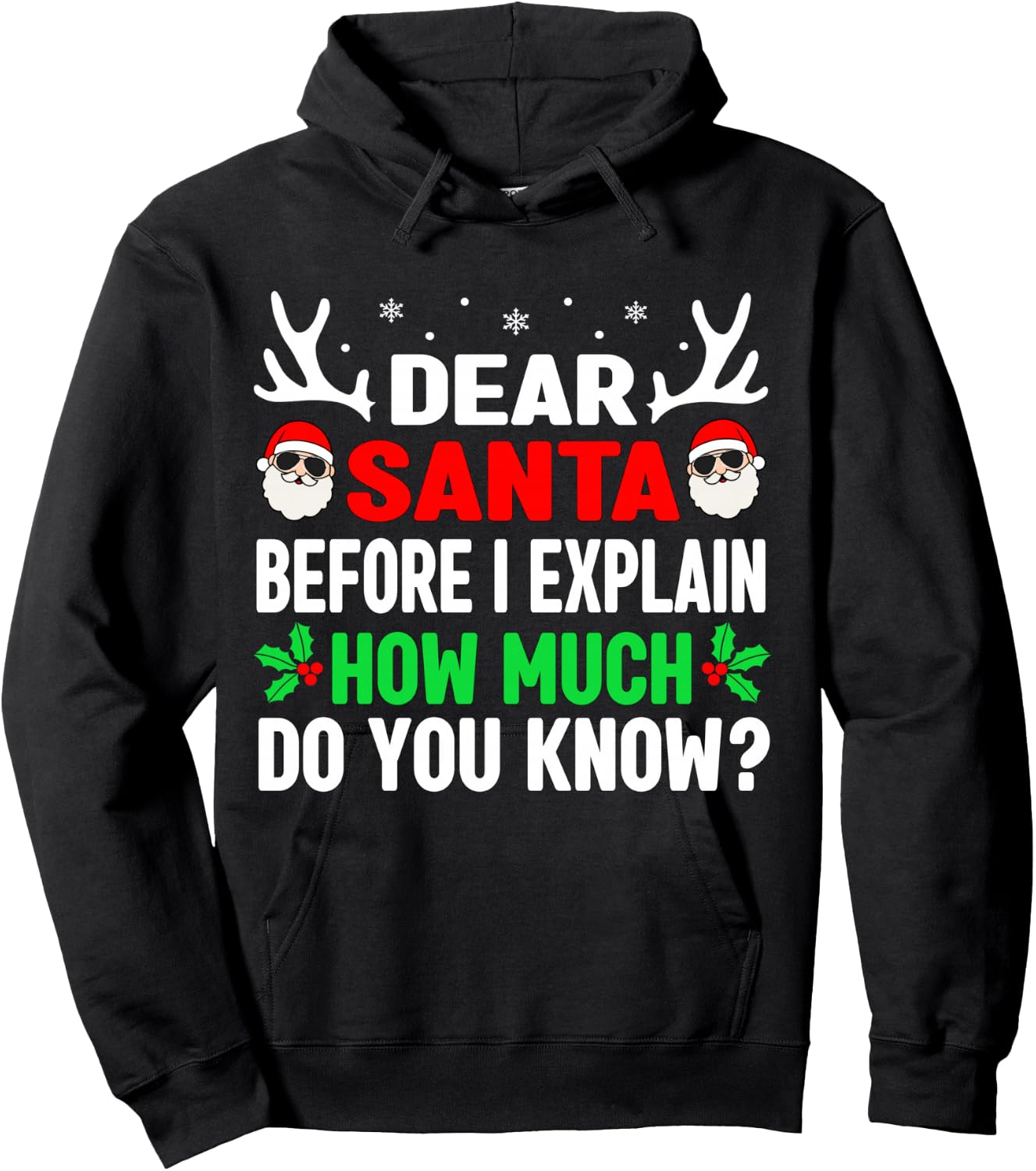 Funny Christmas Kids Adults Dear Santa I Can Explain Hoodie - Hoodie | Black