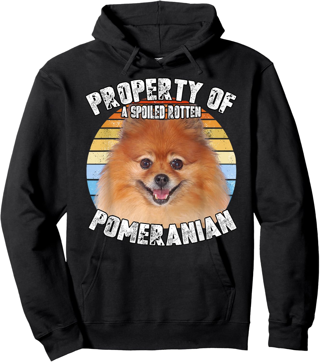 Pomeranian Property Of Retro Hoodie - Hoodie | Black