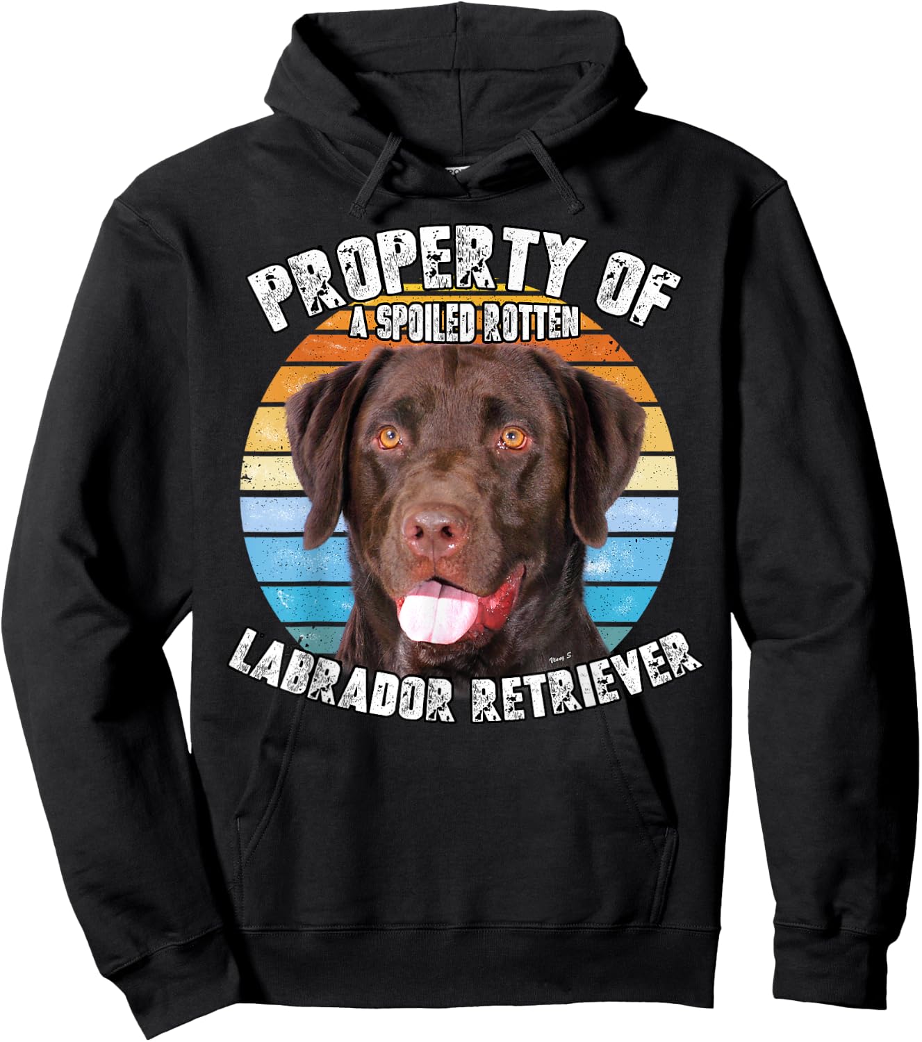 Labrador Retriever Chocolate Owner Lover Retro Vintage Hoodie - Hoodie | Black