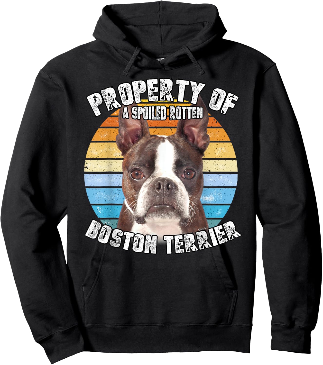 Boston Terrier Brindle Property Of Hoodie - Hoodie | Black