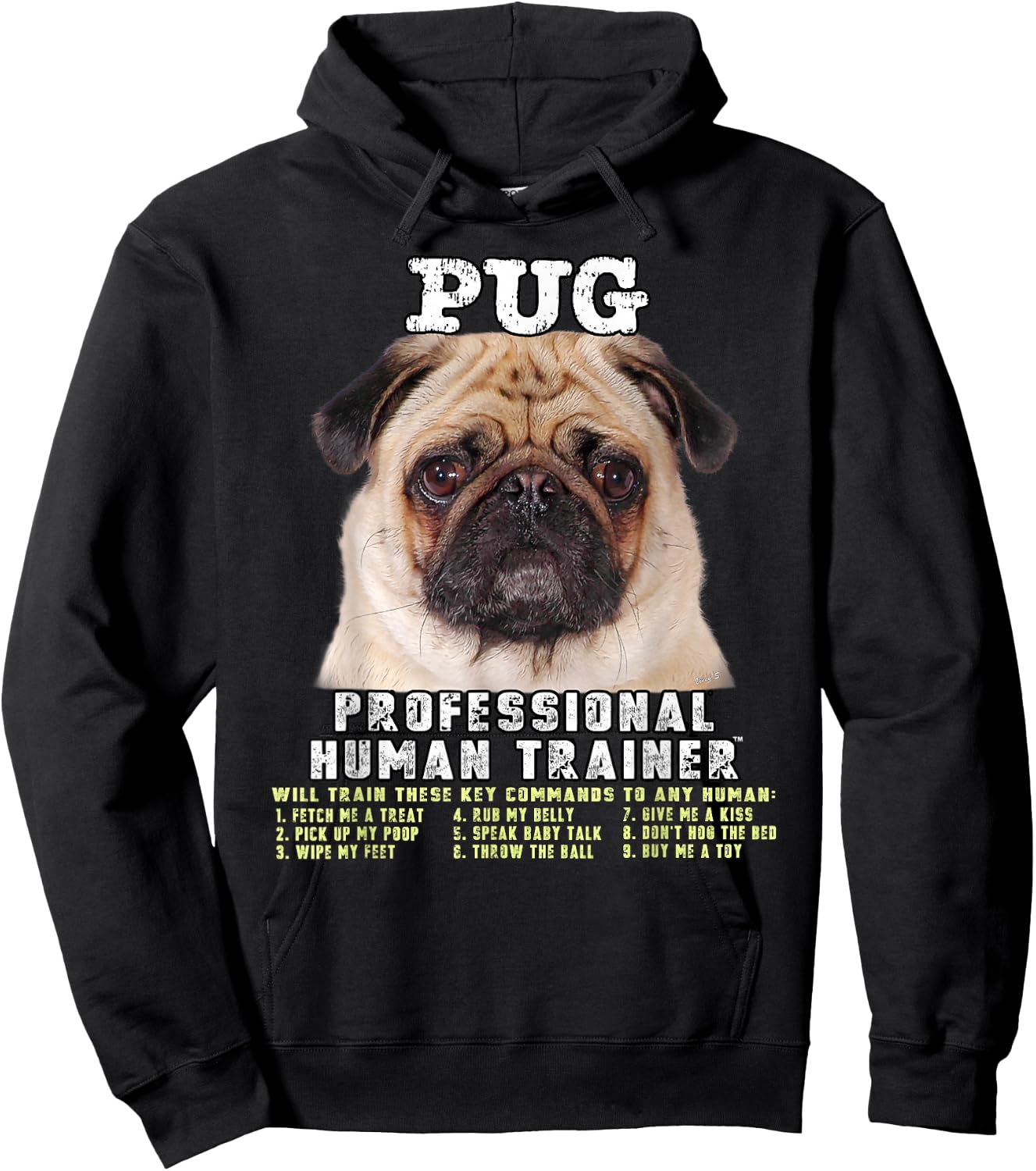 Pug Lover Owner Professional Human Trainer Gift Hoodie - Hoodie | Black