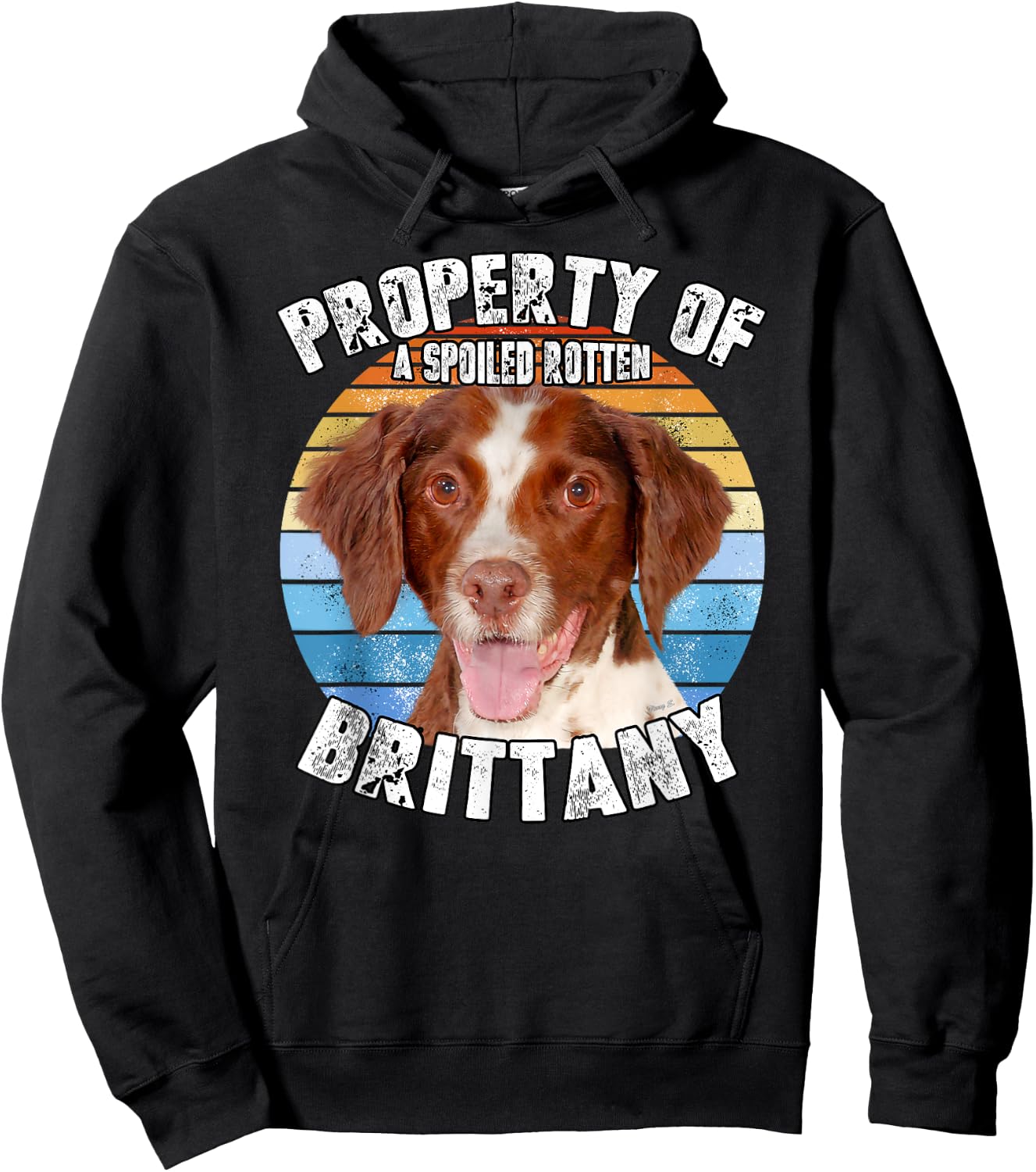 Brittany Spaniel Property Of Hoodie - Hoodie | Black