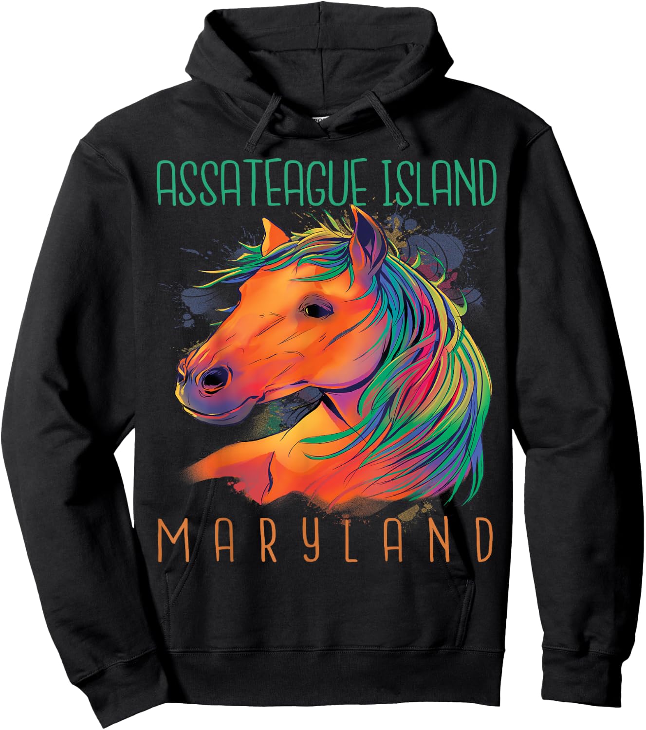 Colorful Horse Assateague Island Maryland Riding Souvenir Hoodie - Hoodie | Black