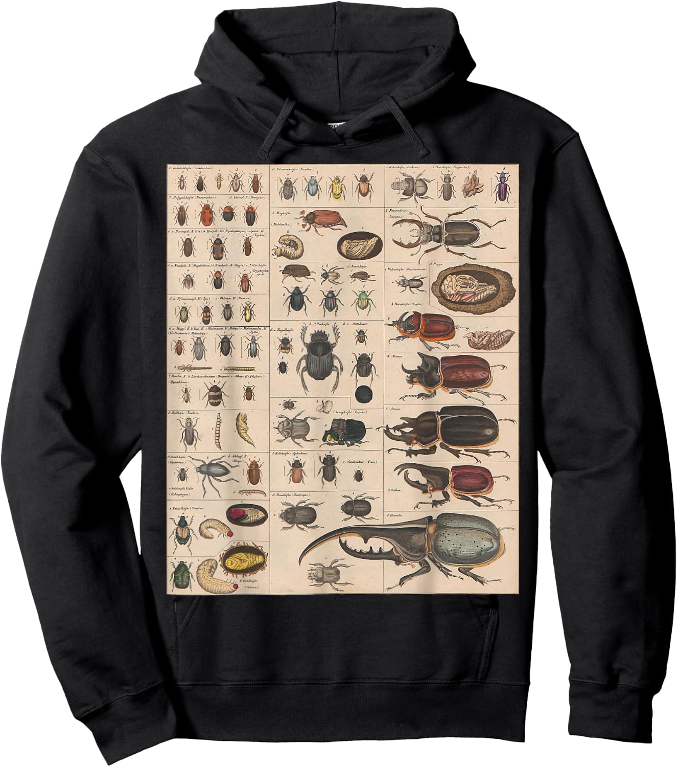 Insects Collection Species Bugs vintage Chart Entomology Hoodie - Hoodie | Black