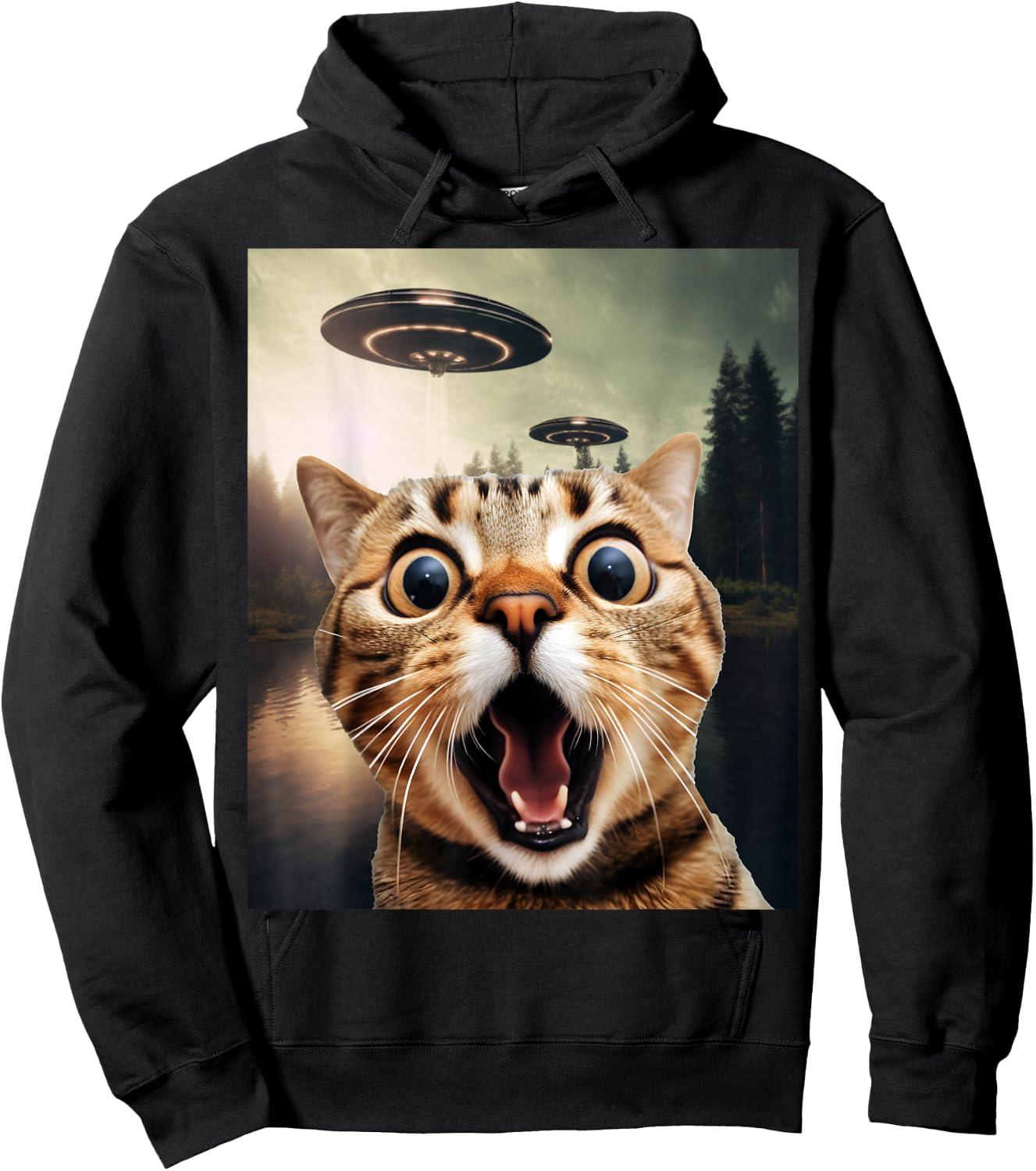 Alien UFO Funny Cat Shirt - Funny Cat Shirts for Cat Dad/Mom Hoodie - Hoodie | Black