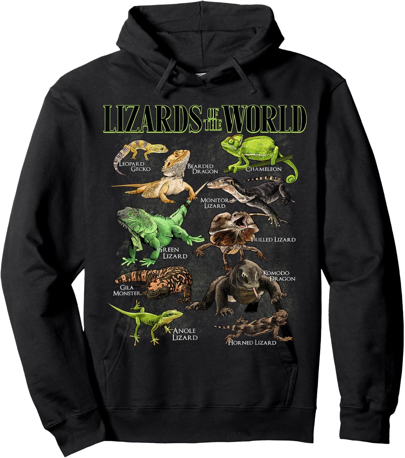 Lizard Animals of the World Educational Reptile Lizard Lover Hoodie - Hoodie | Black
