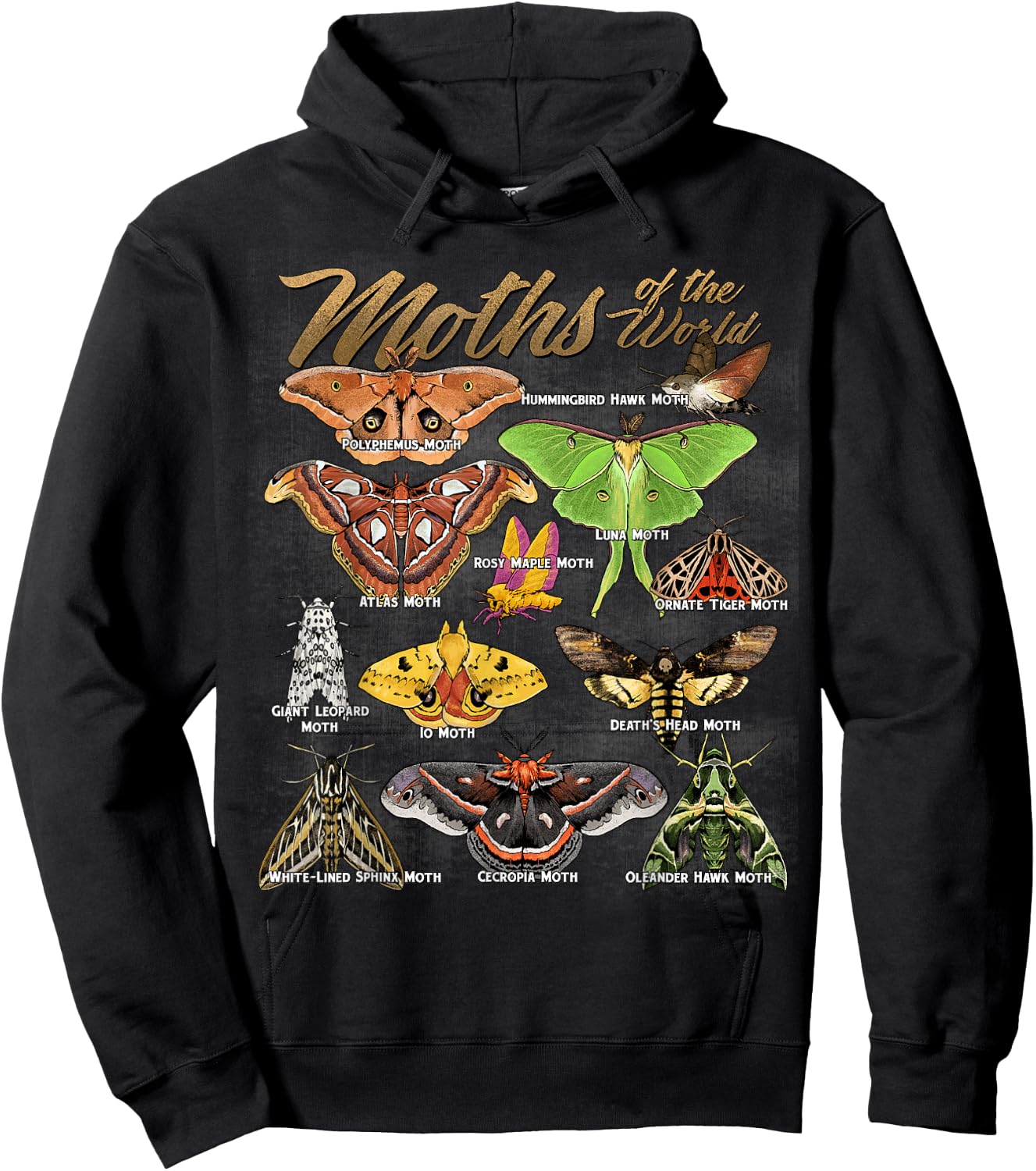 Moths Animals of The World Educational Insect Moth Lover Hoodie - Hoodie | Black