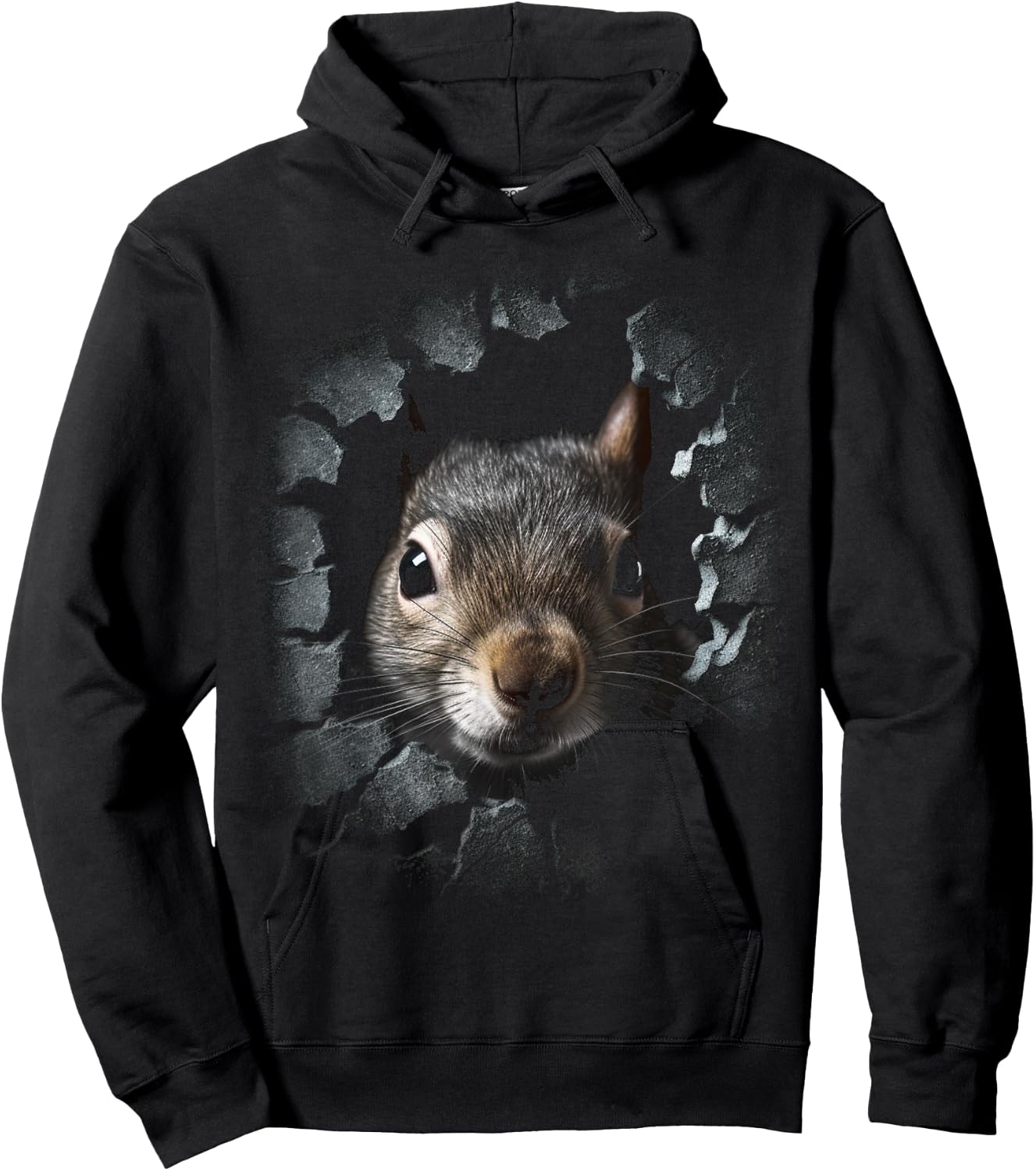 Squirrel Art - Wall Animal Squirrel Hoodie - Hoodie | Black