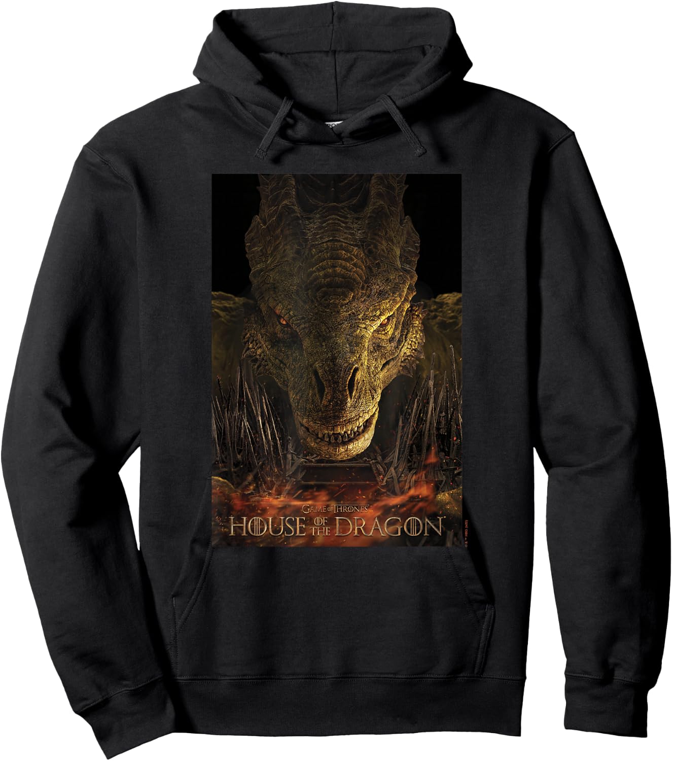 House of the Dragon Syrax Fire And Blood Poster Hoodie - Hoodie | Black