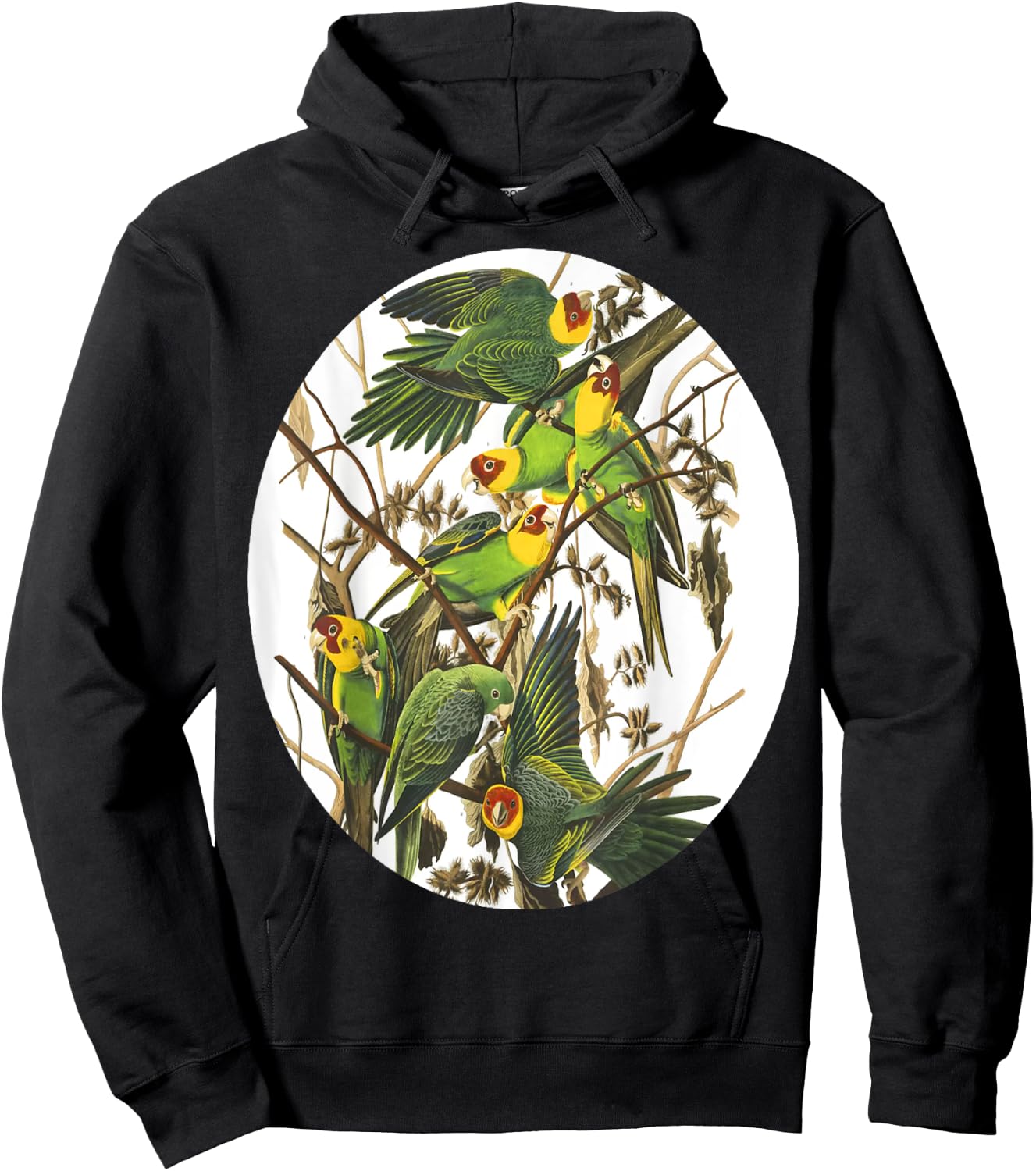Birds Of North America Hoodie - Hoodie | Black