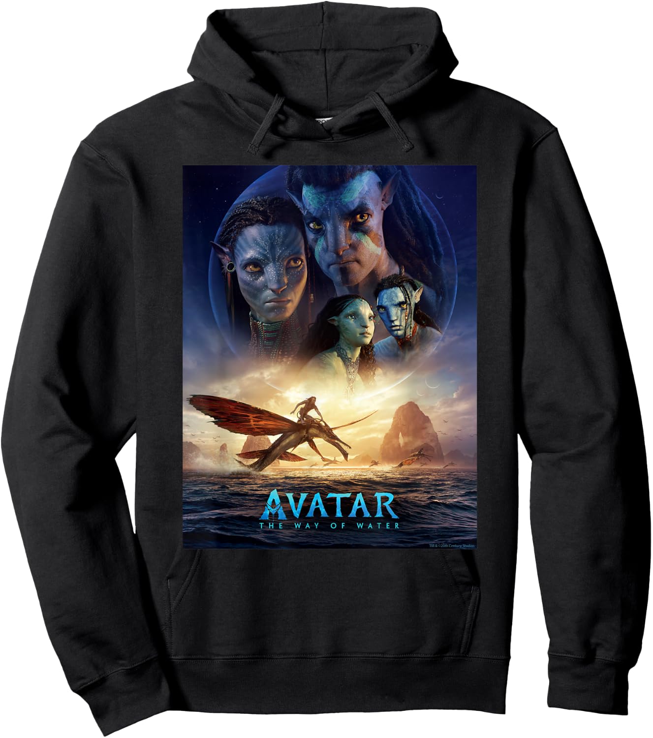 Avatar: The Way of Water Theatrical Movie Poster Small Hoodie - Hoodie | Black