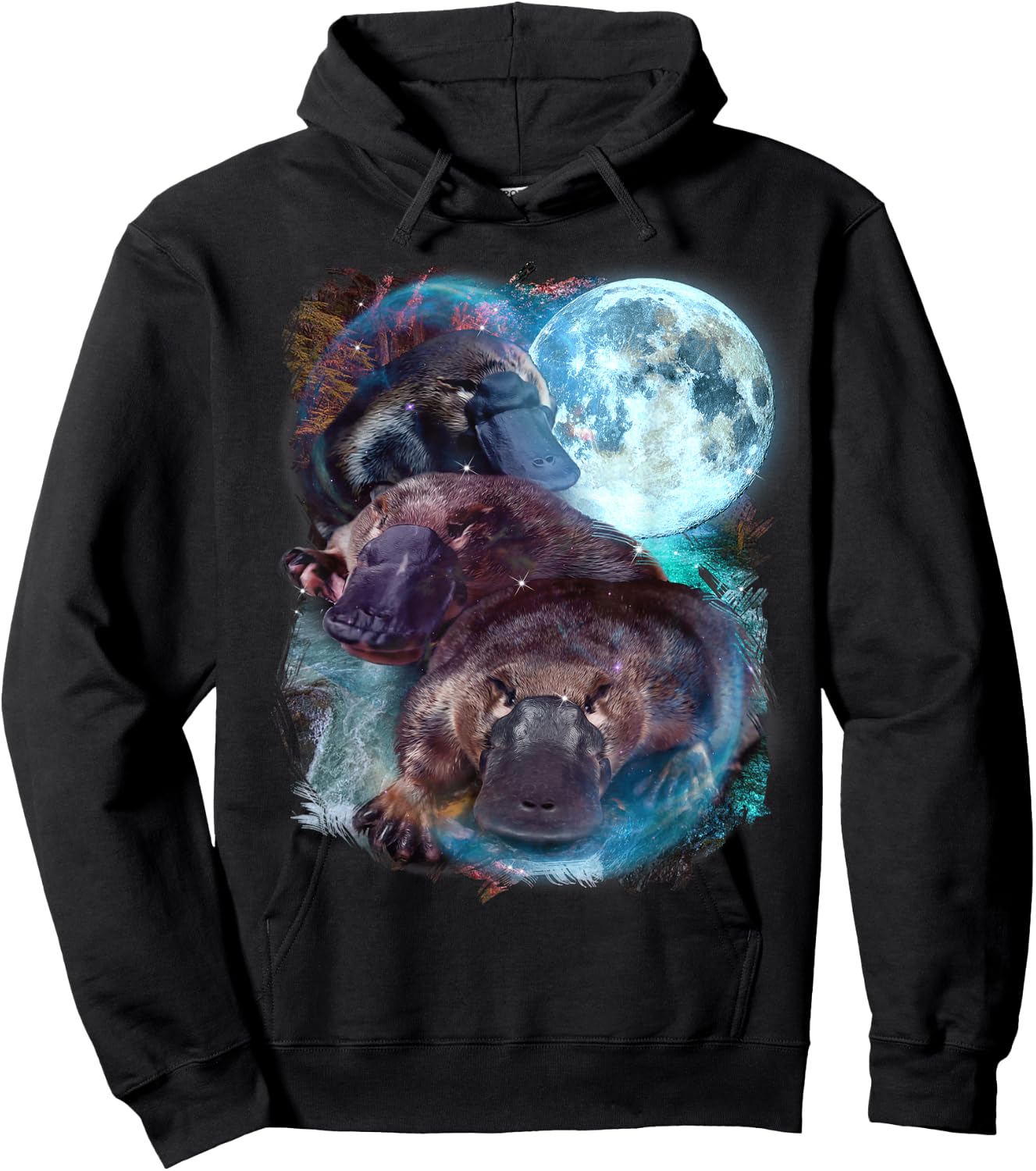 3 Moon Platypus Duckbill Mammal Graphic Animal Lover Novelty Hoodie - Hoodie | Black