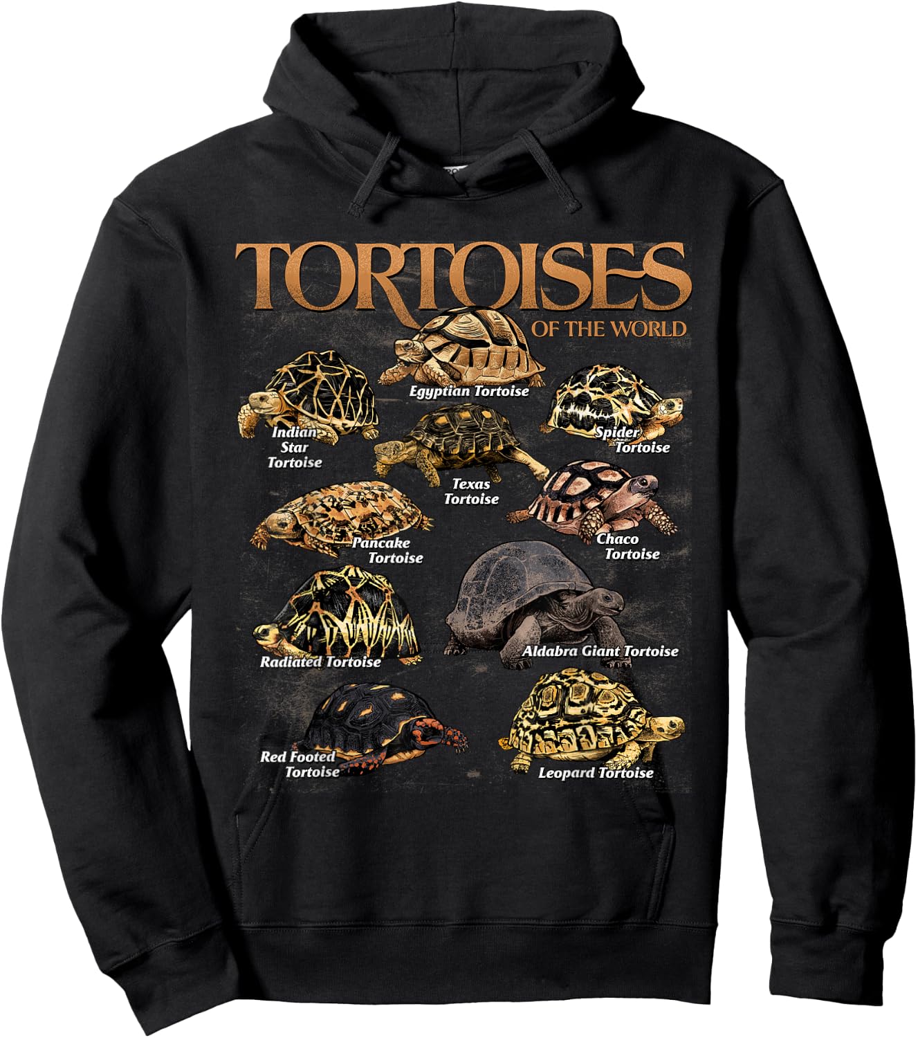 Tortoises Animals of The World Educational Sea Turtle Lover Hoodie - Hoodie | Black