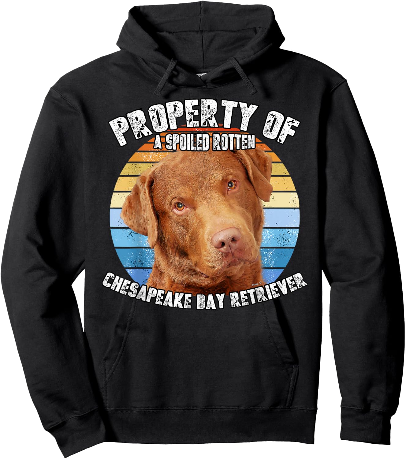 Chesapeake Bay Retriever Property Of Hoodie - Hoodie | Black
