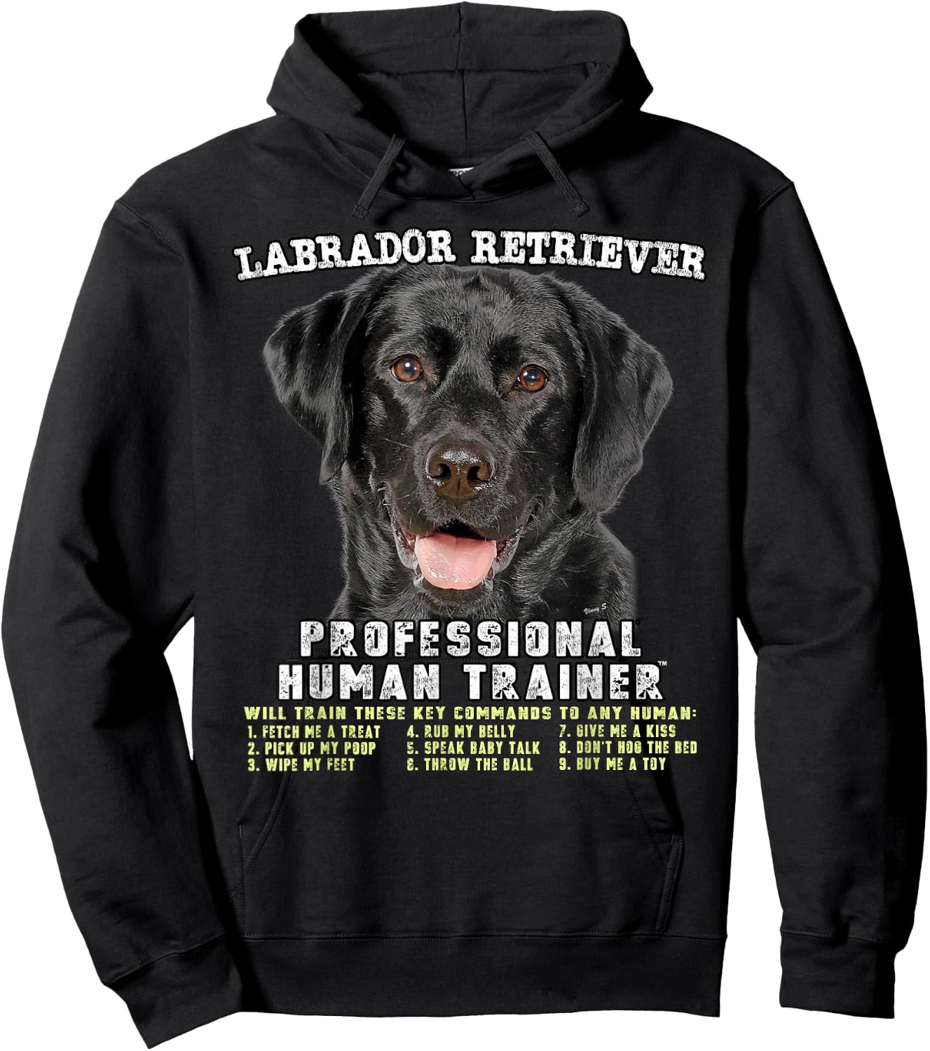 Labrador Retriever Black Lab Professional Human Trainer Hoodie - Hoodie | Black