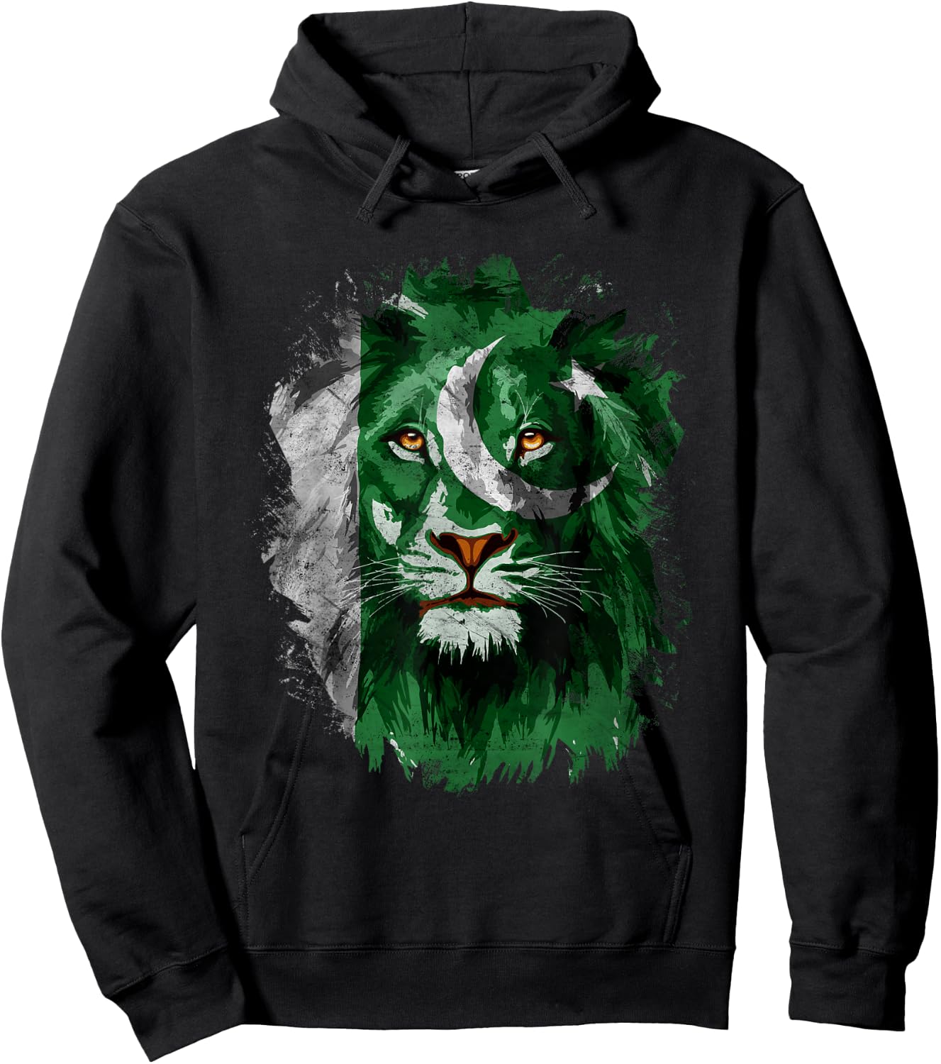 Pakistan Flag Lion Face Pakistani Pride Vintage Hoodie - Hoodie | Black