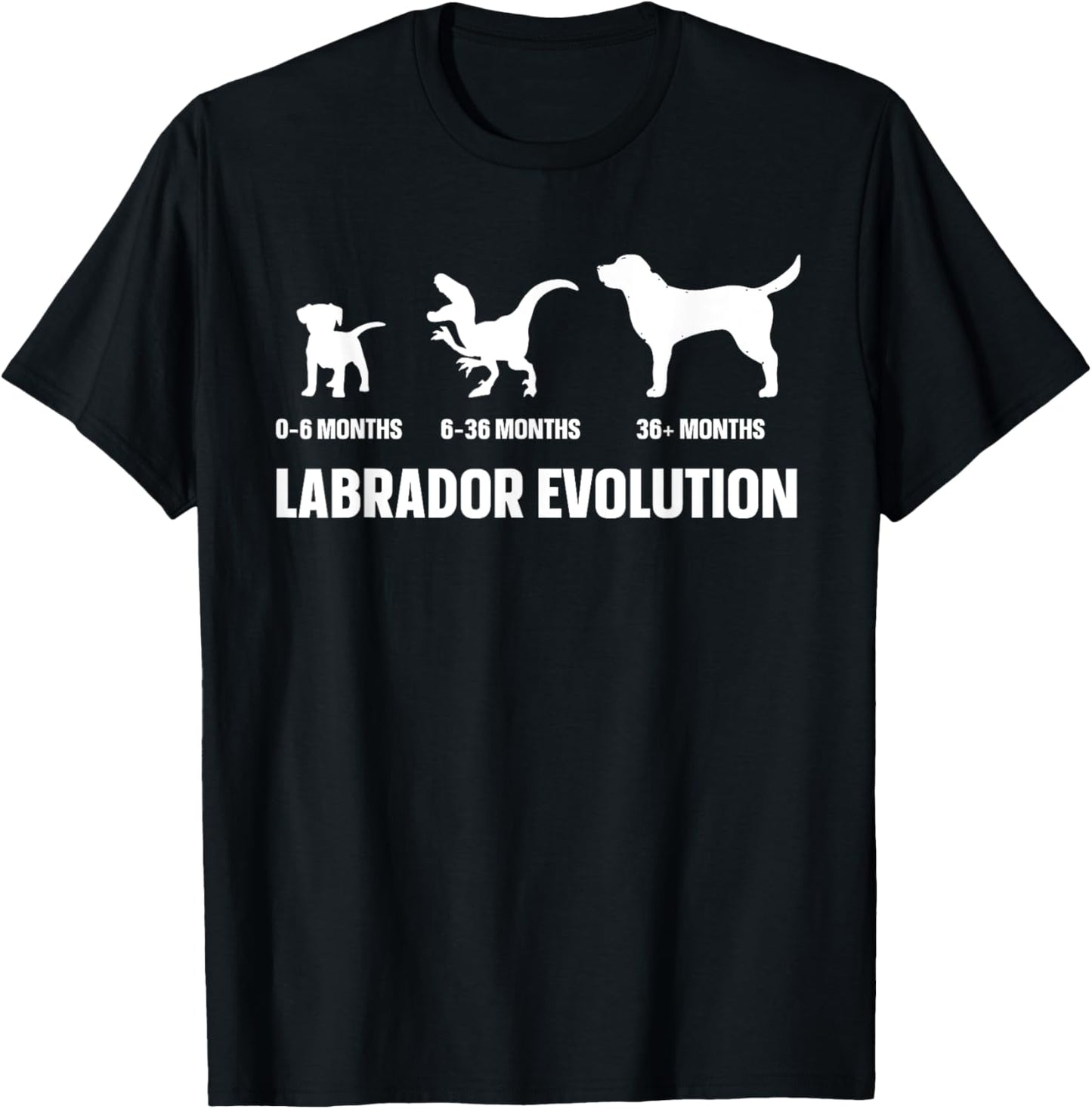 Labrador Evolution Design for a Labrador Owner T-Shirt - T-Shirt | Black