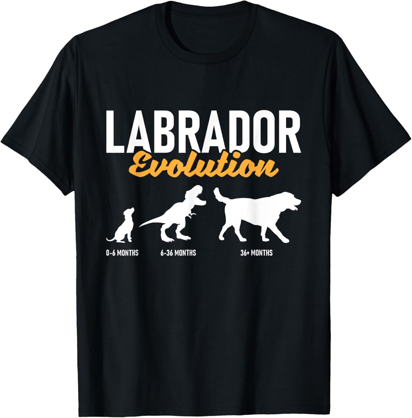 Labrador Evolution - Pet Owner Animal Dog Lover T-Shirt - T-Shirt | Black