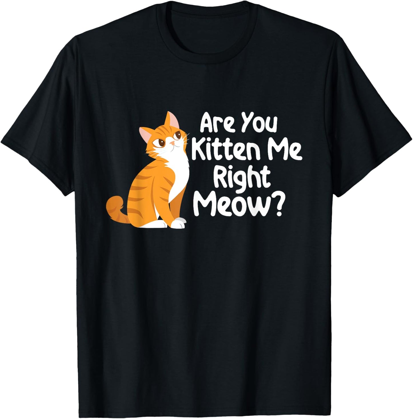 Are You Kitten Me Right Meow - Cat Lover Kitty Owner T-Shirt - T-Shirt | Black