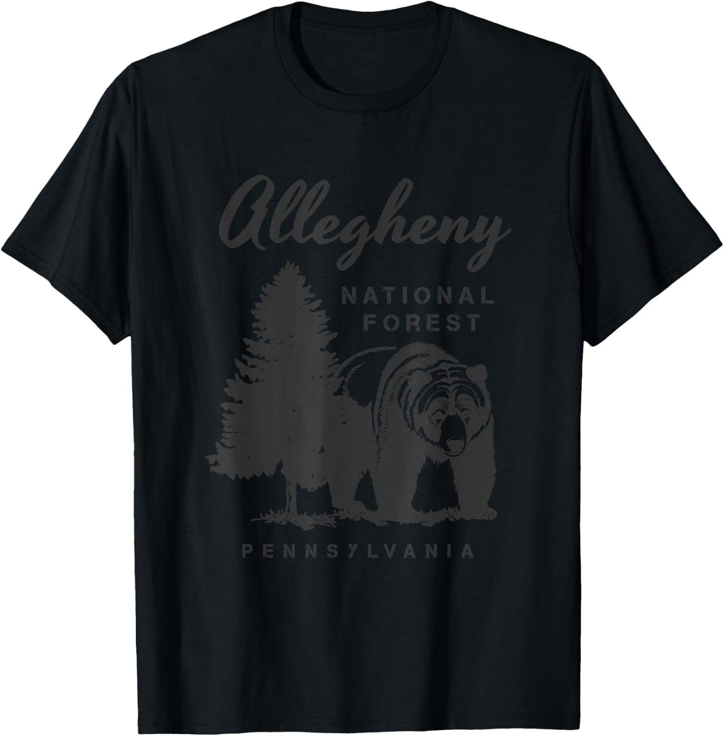 Allegheny National Forest Pennsylvania Vacation T-Shirt - T-Shirt | Black