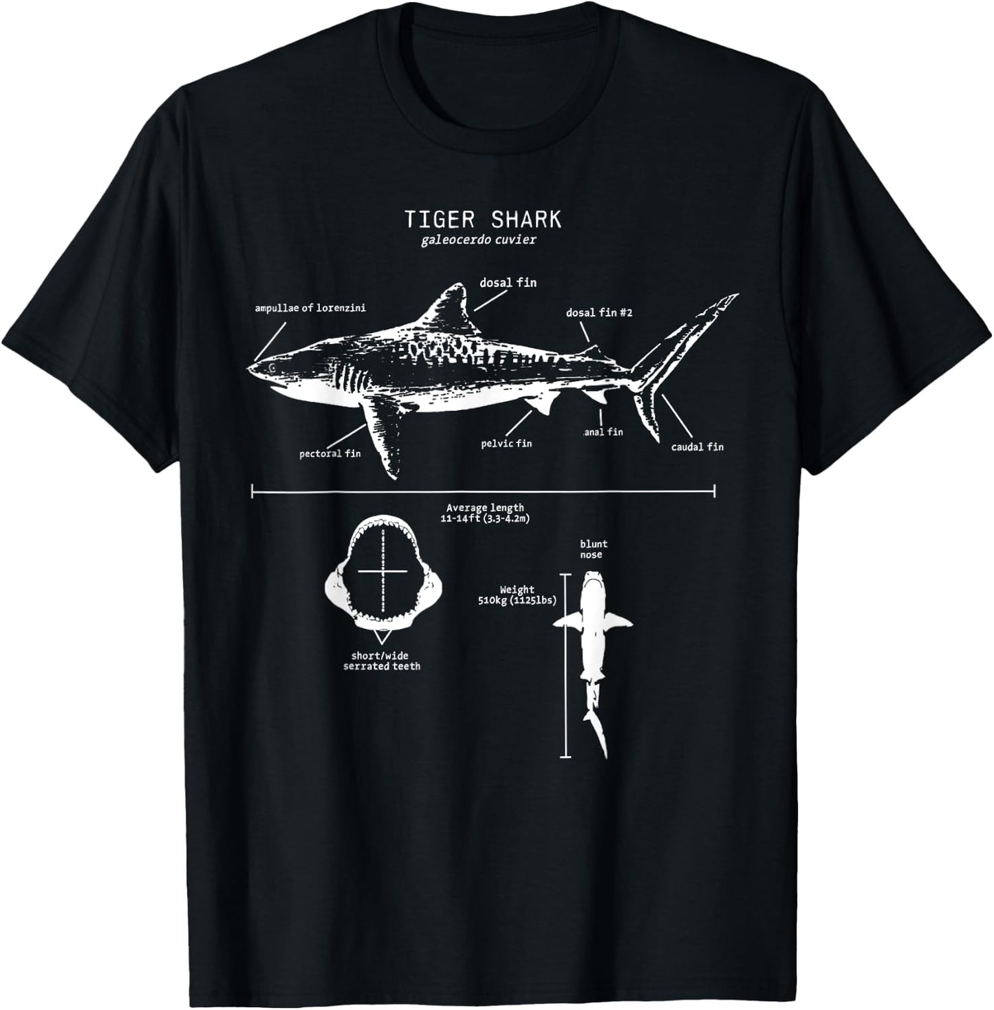 Tiger Shark Anatomy Marine Biologist T-Shirt - T-Shirt | Black