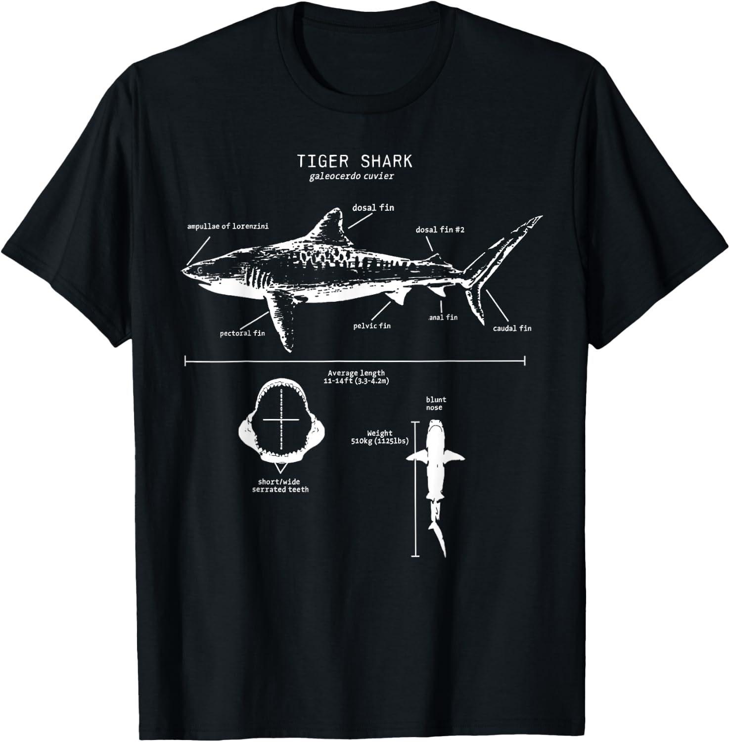 Tiger Shark Anatomy Marine Biologist T-Shirt - T-Shirt | Black
