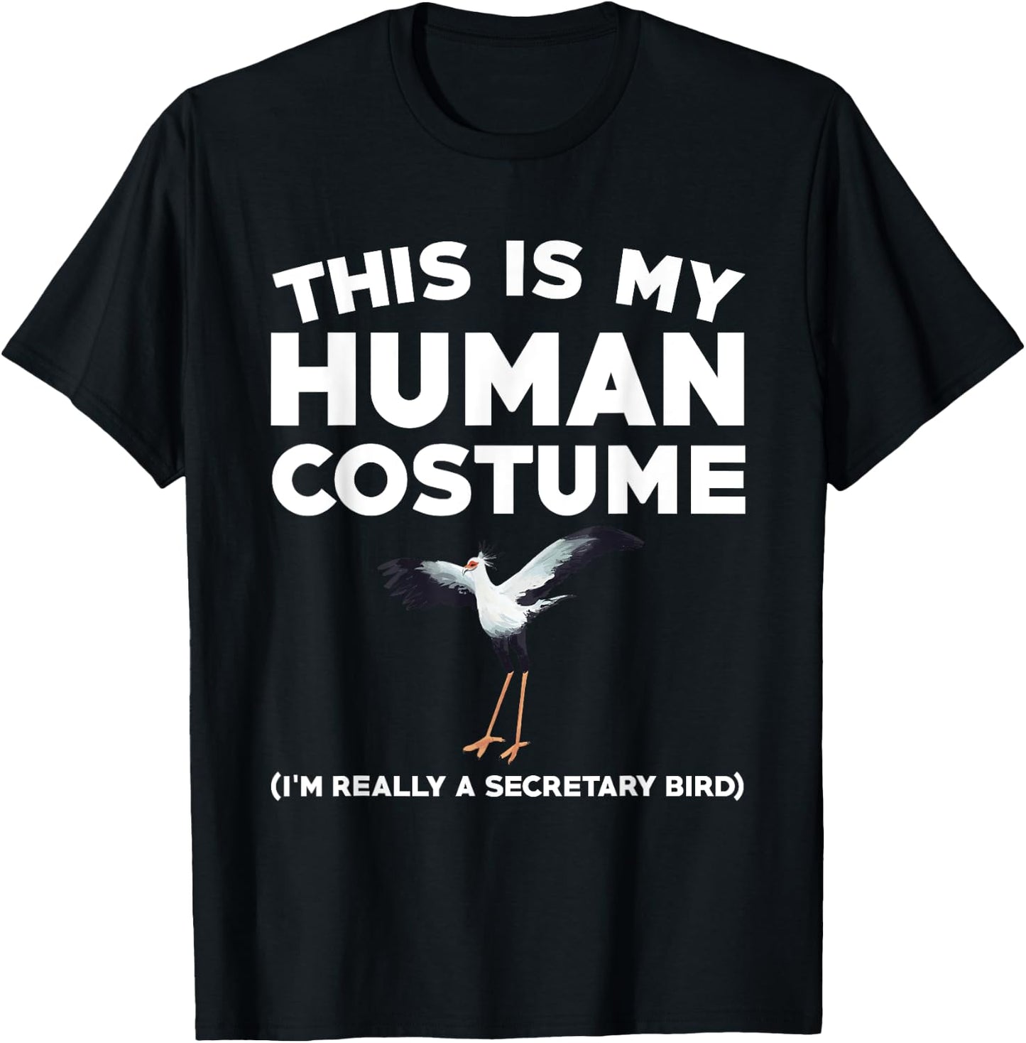 Funny Secretary Bird Watching Saying Birding Lover T-Shirt - T-Shirt | Black