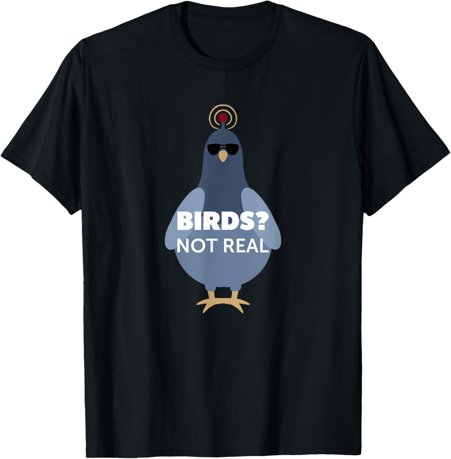 Birds? They Aren't Real Shirt | Funny Conspiracy Theory T-Shirt - T-Shirt | Black