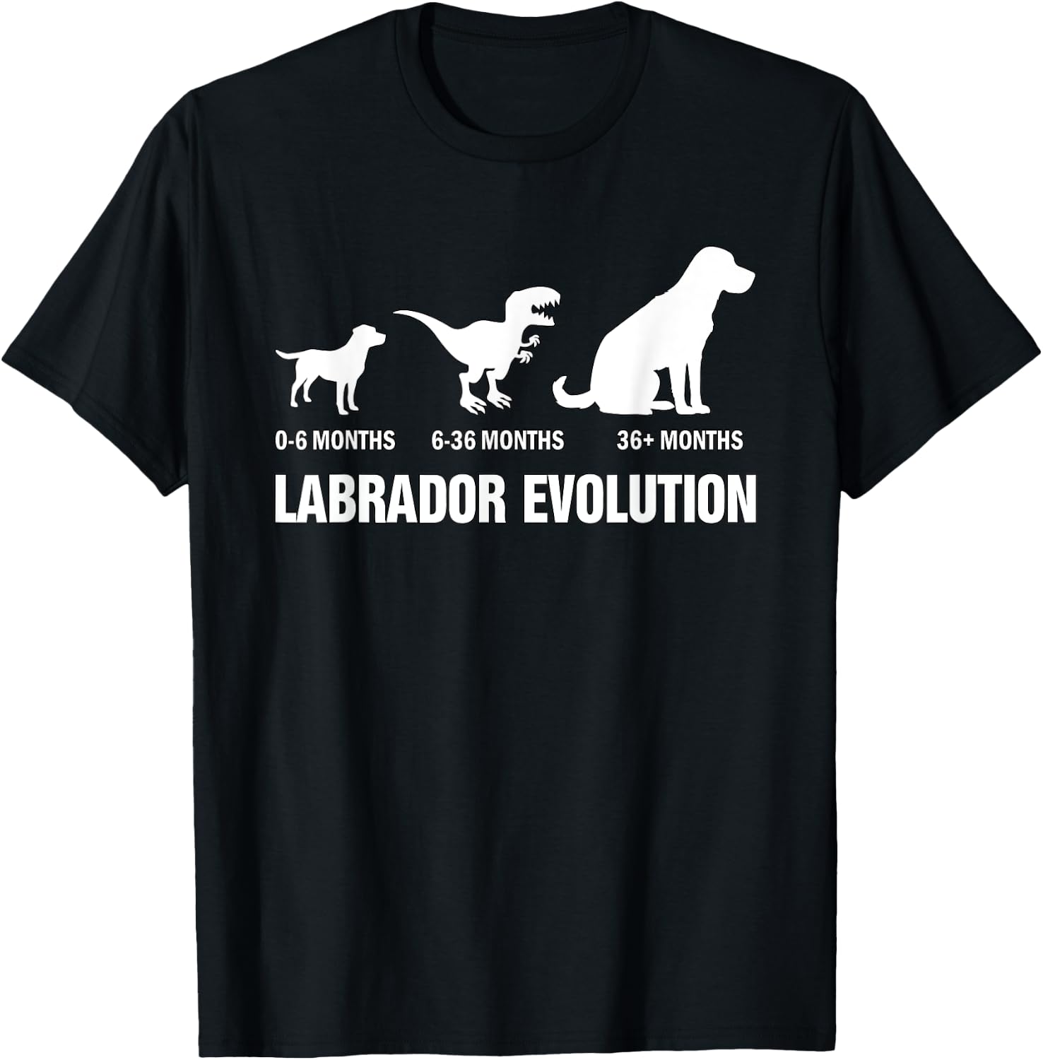 Labrador Retriever Evolution Dog Funny Saying T-Shirt - T-Shirt | Black