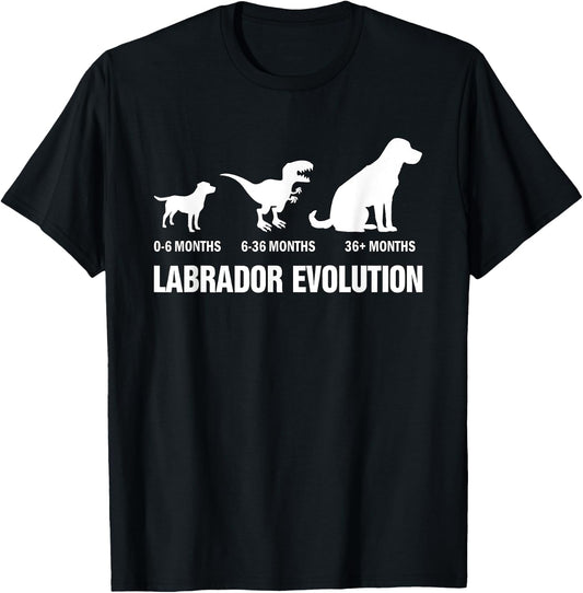 Labrador Retriever Evolution Dog Funny Saying T-Shirt - T-Shirt | Black