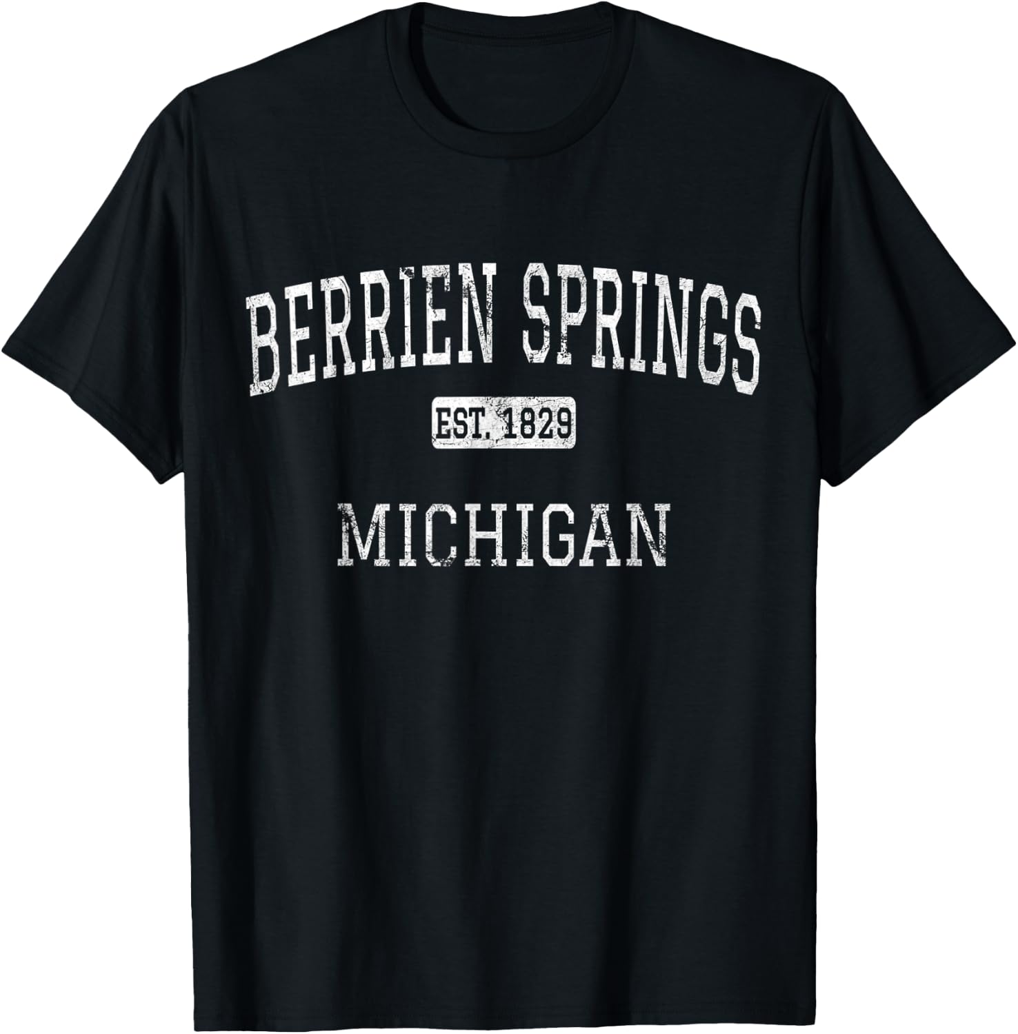 Berrien Springs Michigan MI Vintage T-Shirt - T-Shirt | Black