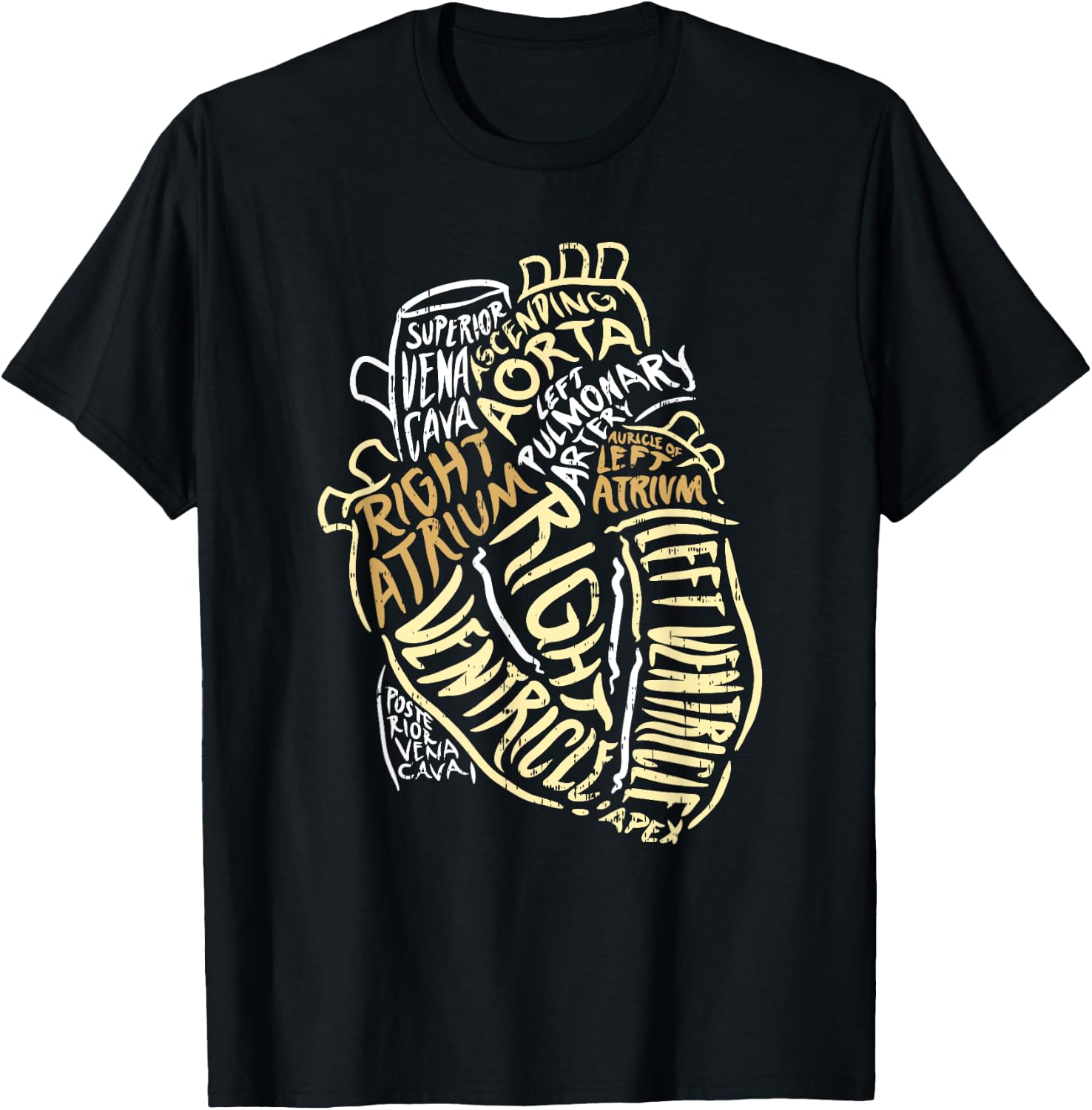 Heart Specialist Anatomy Doctor Medical Biology Organ Artery T-Shirt - T-Shirt | Black
