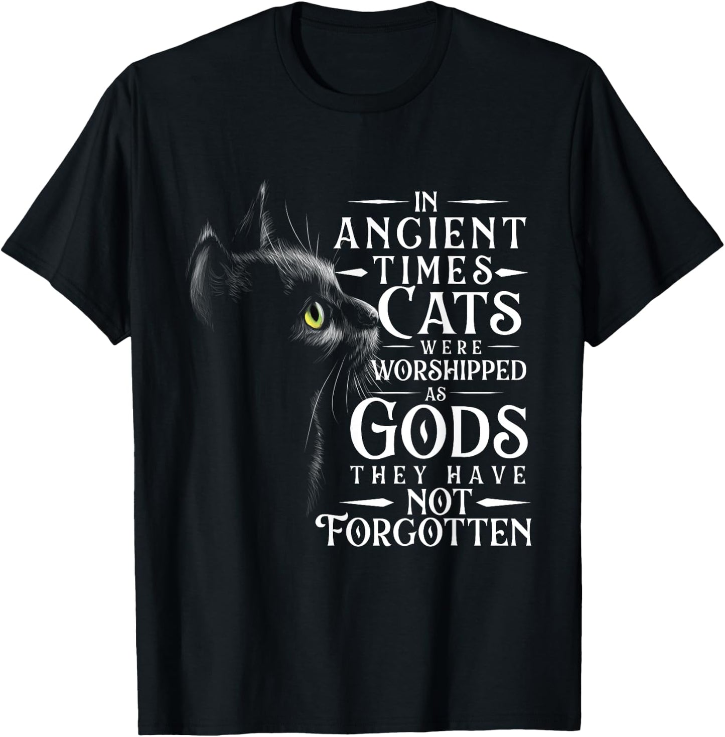 In Ancient Times Cats Were Worshipped As Gods - Pet Lover T-Shirt - T-Shirt | Black