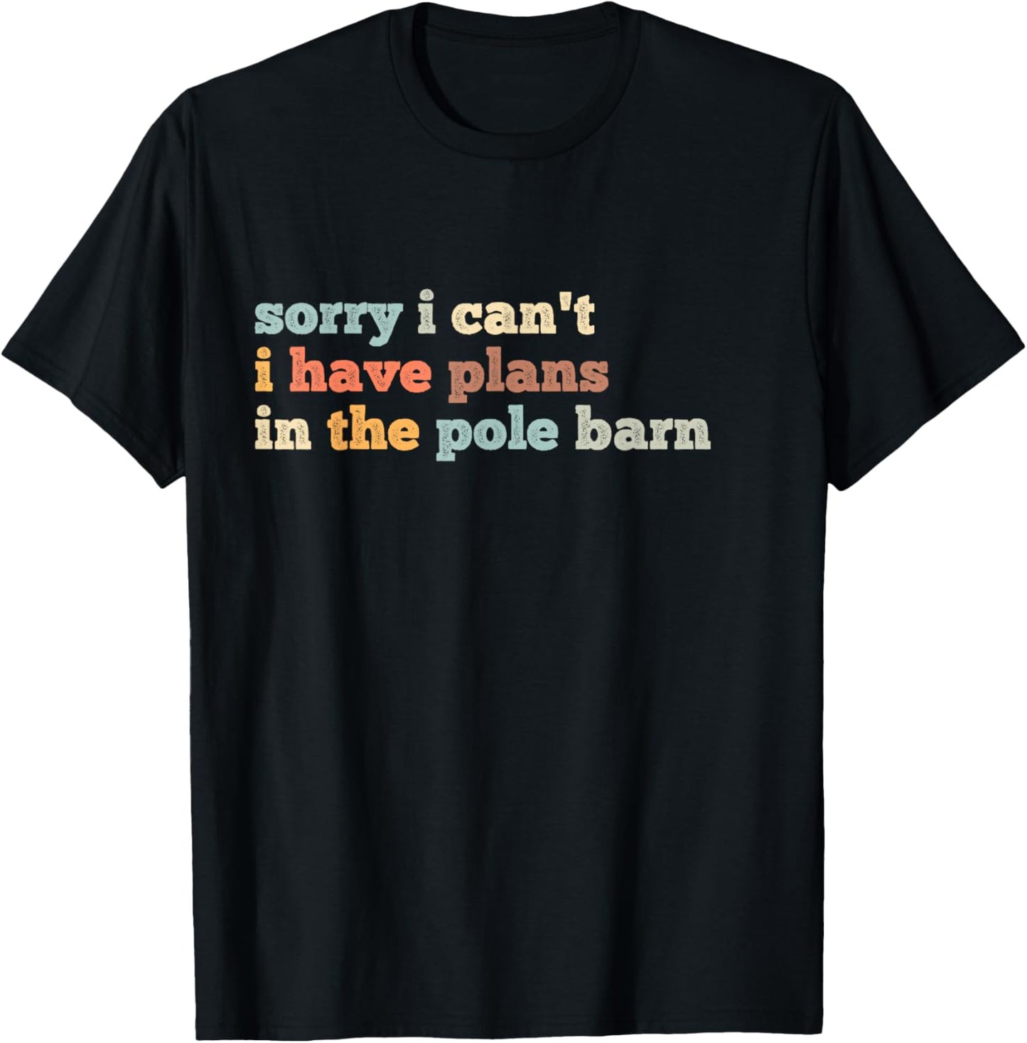 Sorry I Can't I Have Plans In The Pole Barn T-Shirt - T-Shirt | Black