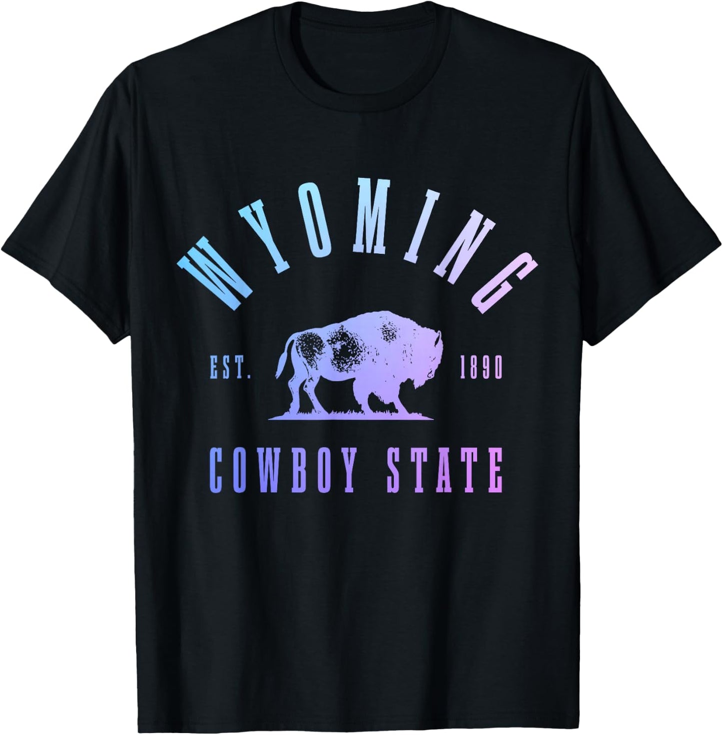 Wyoming, East. 1890 The Cowboy State Bison Vintage Pride T-Shirt - T-Shirt | Black