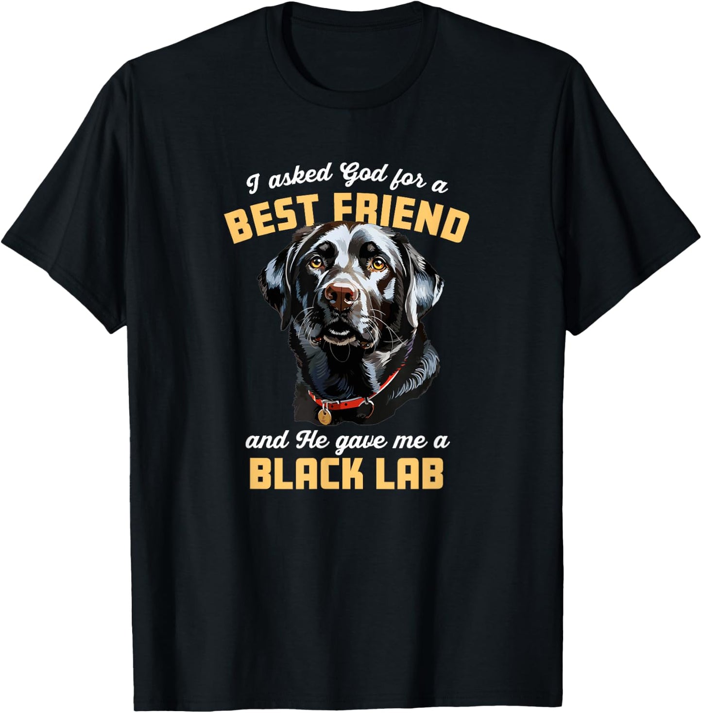 I Asked God For a Best Friend He Gave Me a Black Lab Dog Mom Men Women Girls Kids T-Shirt - T-Shirt | Black