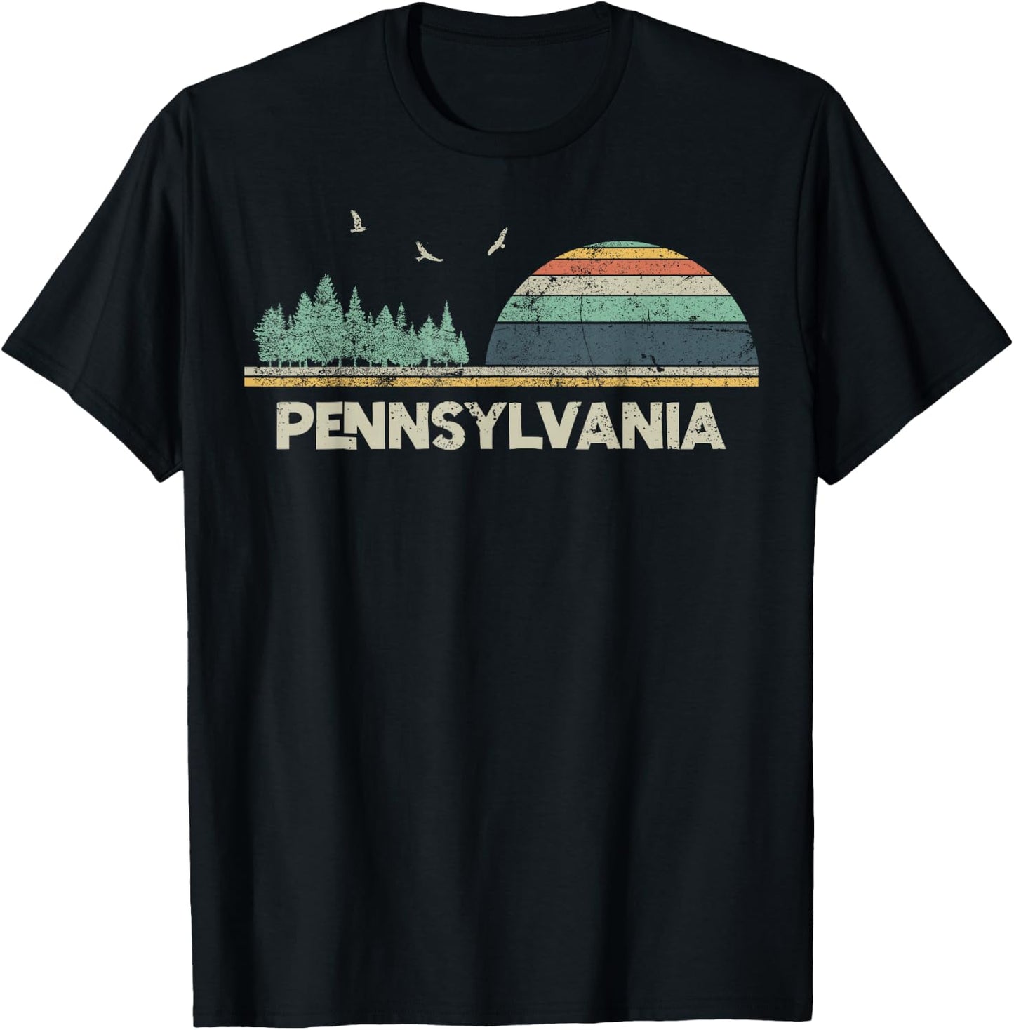 Pennsylvania Keystone State Philadelphia Pittsburgh T-Shirt - T-Shirt | Black