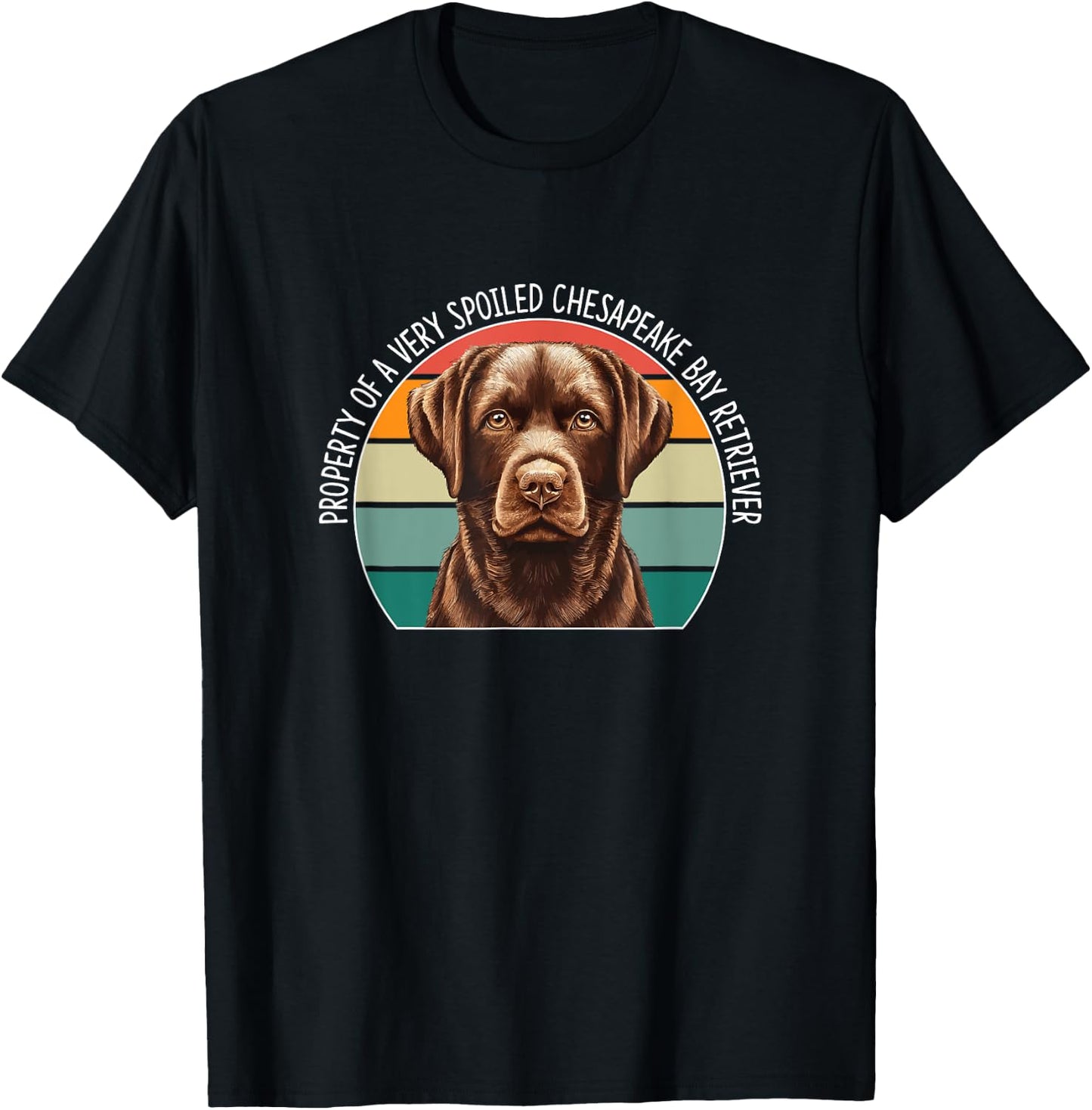 Property Of A Very Spoiled Chesapeake Bay Retriever T-Shirt - T-Shirt | Black