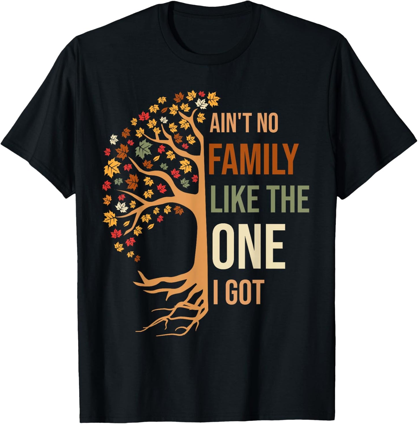 Ain't No Family Like The One I Got Funny Family Reunion 2024 T-Shirt - T-Shirt | Black