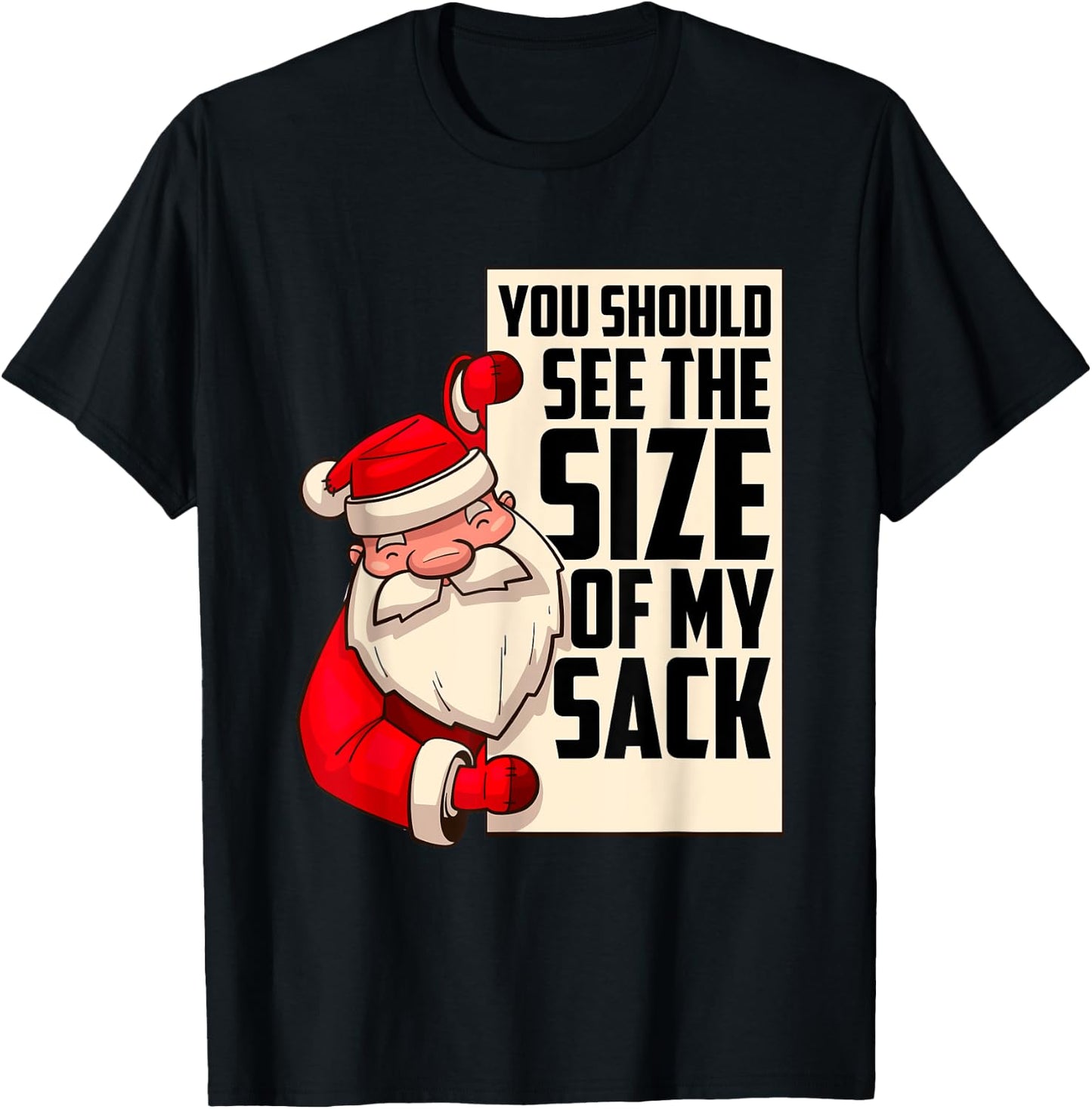 You Should See The Size of My Sack Funny Santa Christmas T-Shirt - T-Shirt | Black