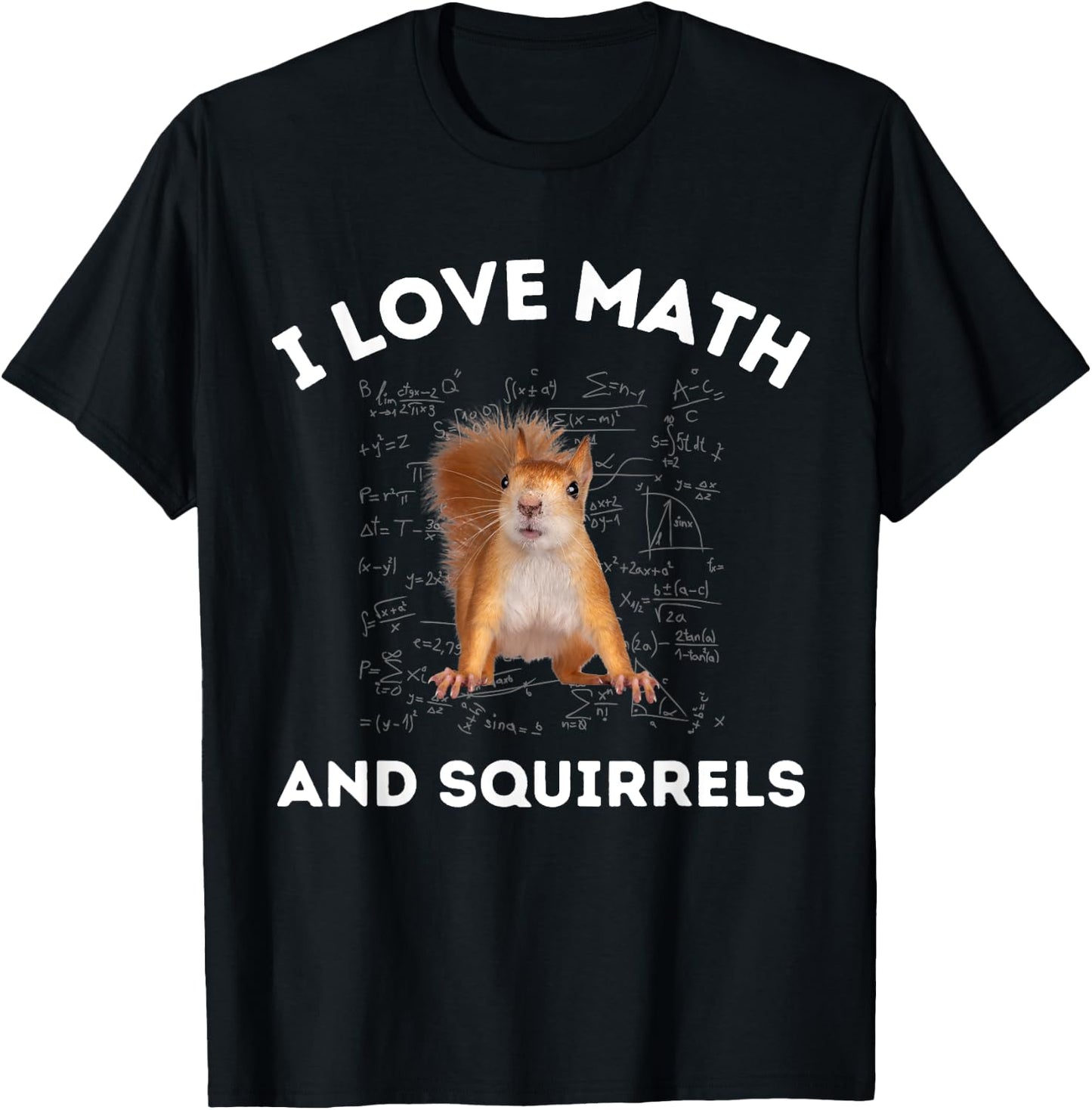 I Love Math and Squirrels Squirrel Lover Algebra Teacher Women Kids T-Shirt - T-Shirt | Black