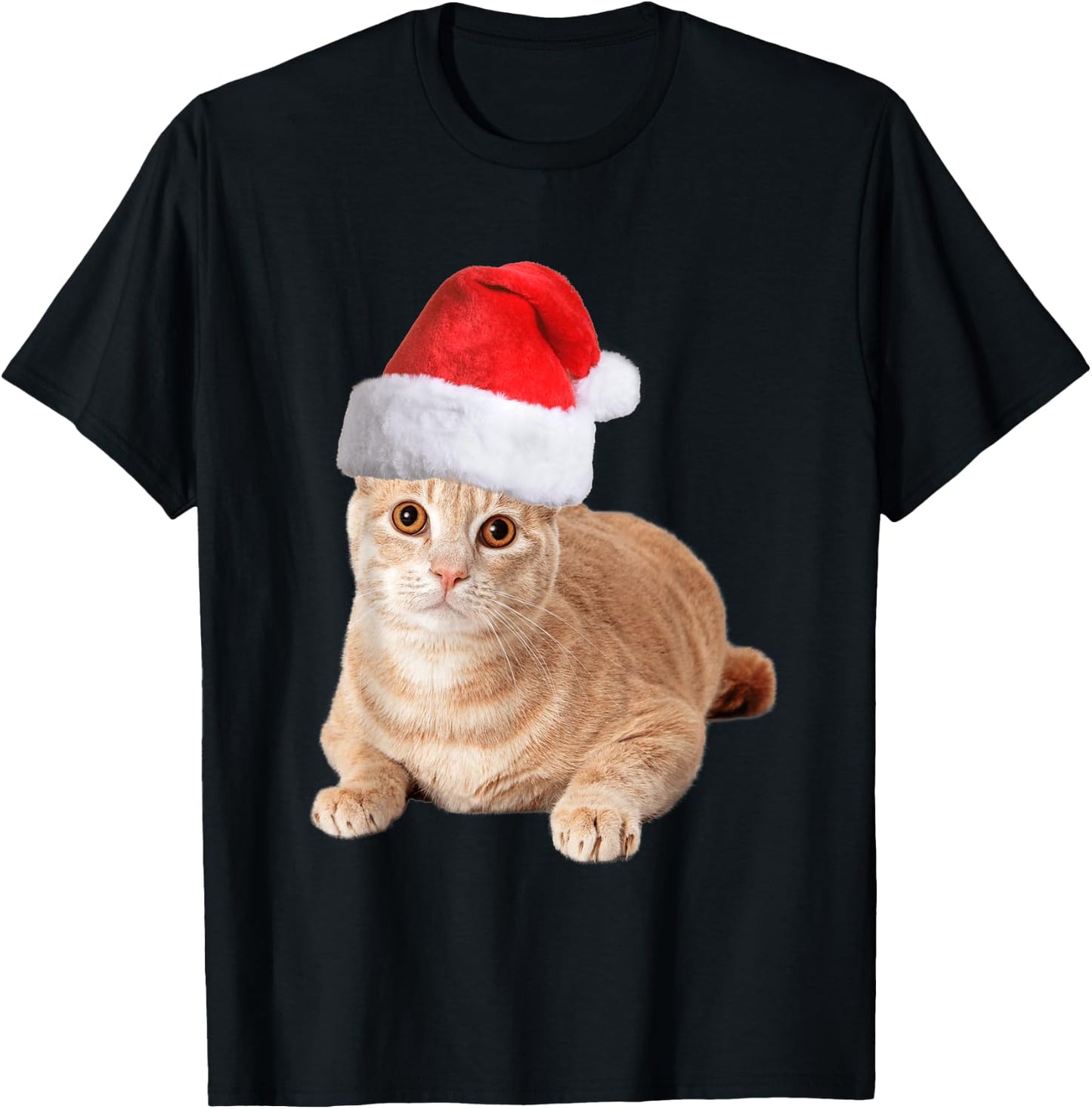 Orange Tabby Cat With Christmas Santa Hat Men T-Shirt - T-Shirt | Black