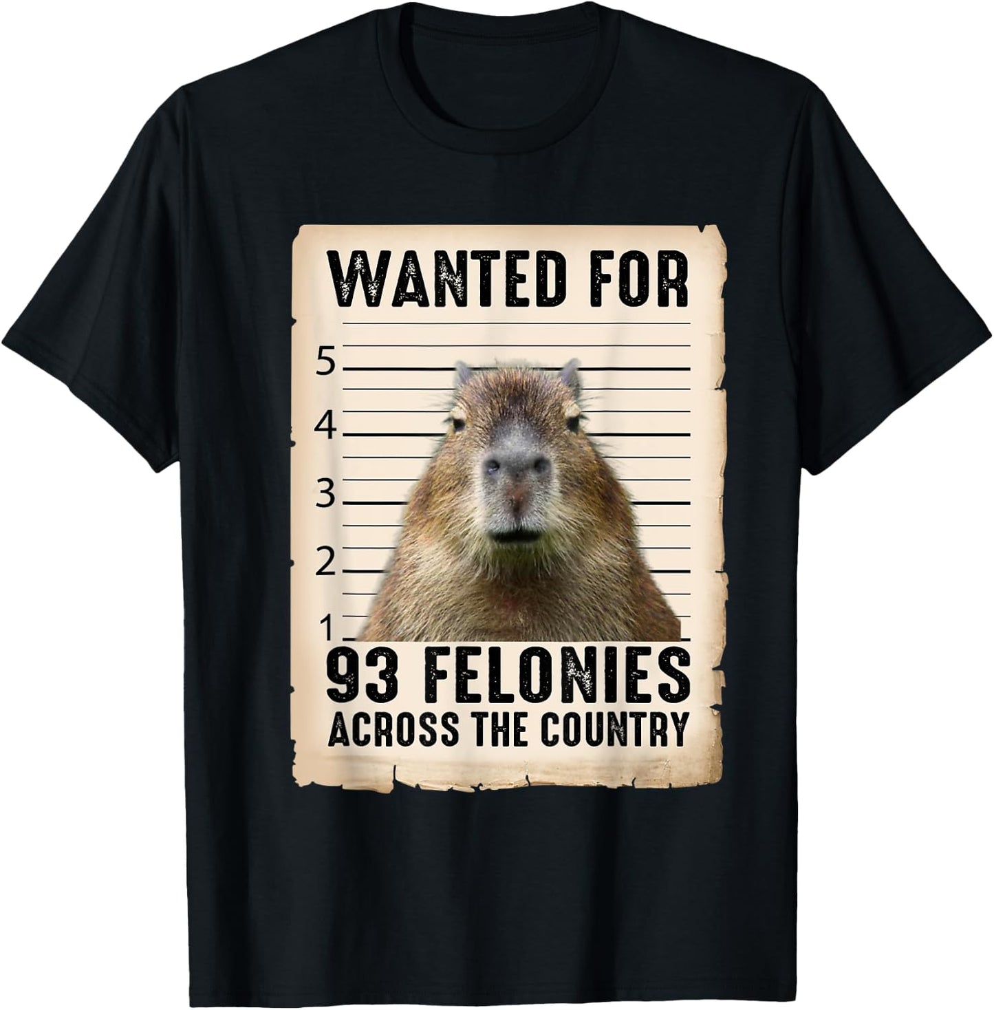 Capybara Gifts Wanted For 93 Felonies Across The Country T-Shirt - T-Shirt | Black