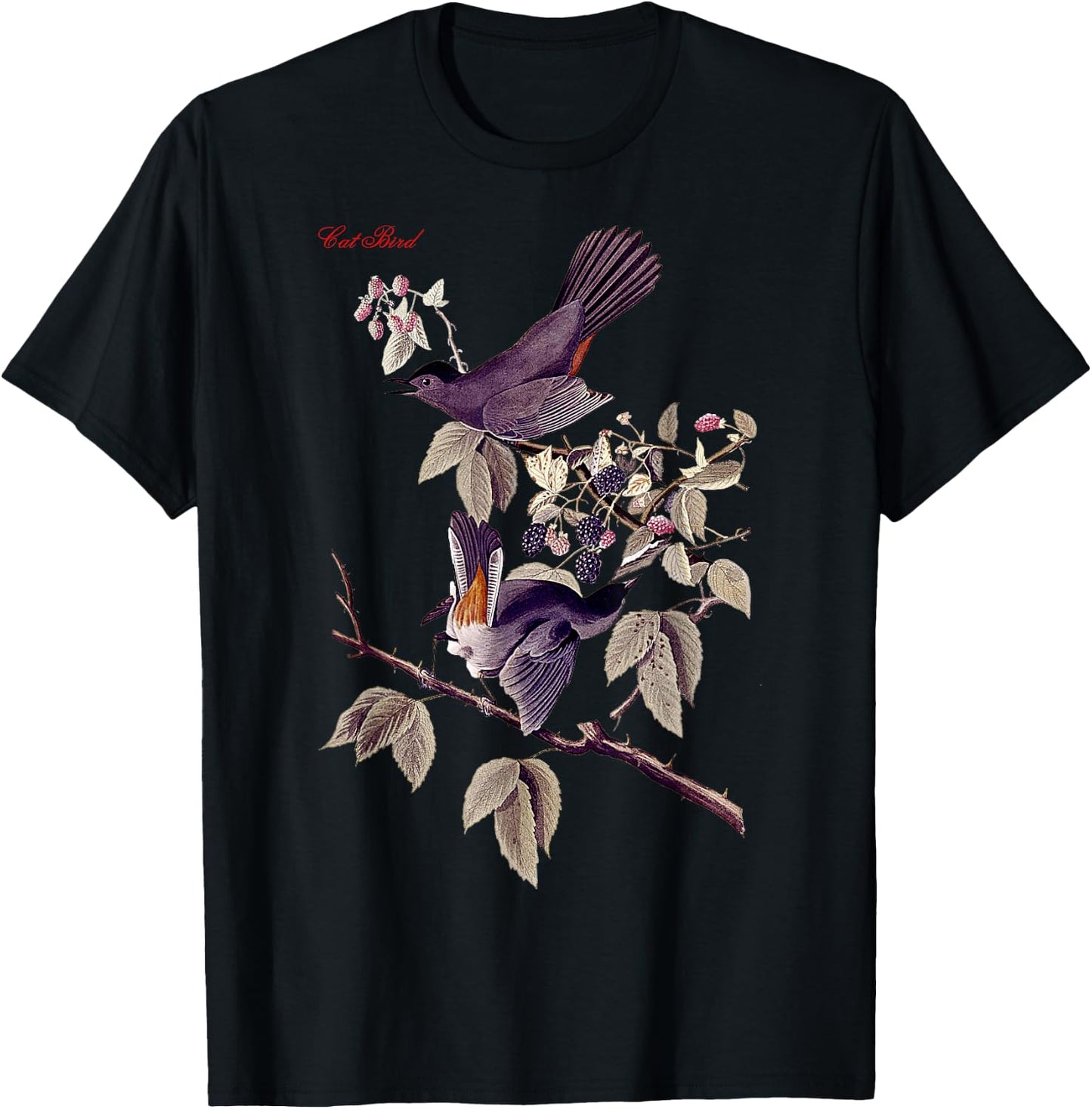 Audubon Cat Bird North American Birds Education Nature T-Shirt - T-Shirt | Black