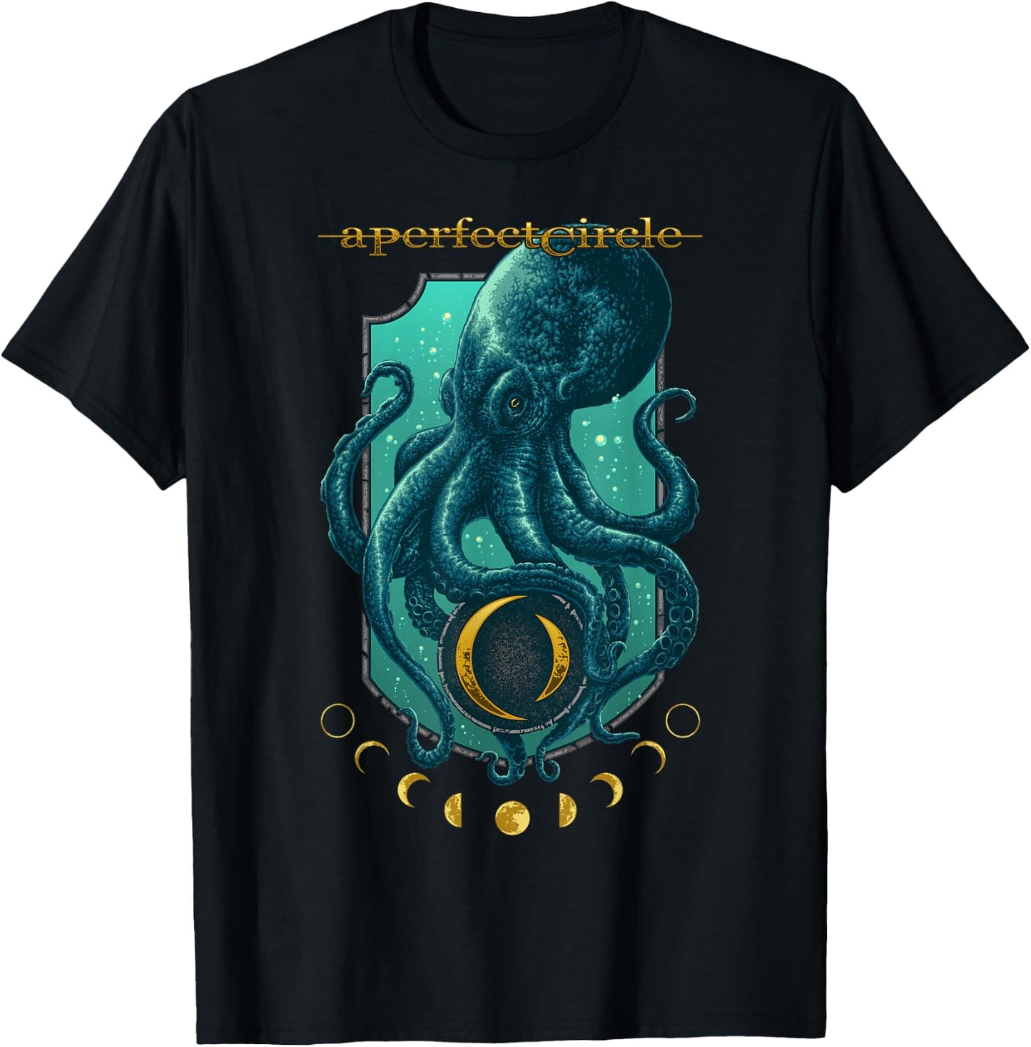 A Perfect Circle – Moon Oracle T-Shirt - T-Shirt | Black
