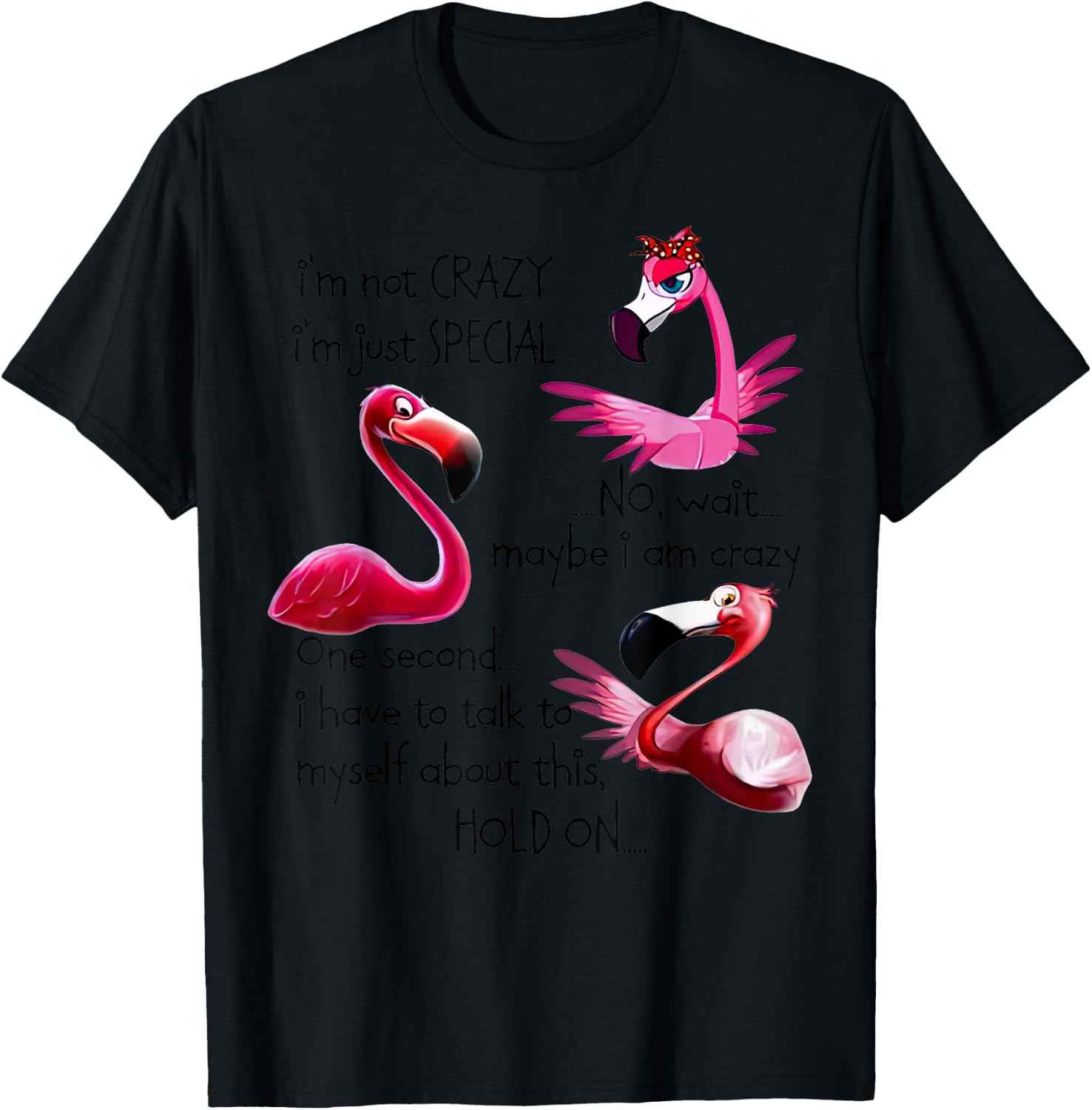 Flamingo I’m Not Crazy I’m Just Special No Wait Maybe T-Shirt - T-Shirt | Black