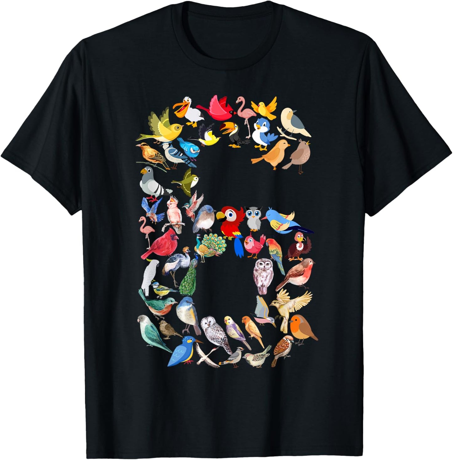 Kids 6th Birthday Birds Themed 6 Year Old Boys Bird Lover T-Shirt - T-Shirt | Black